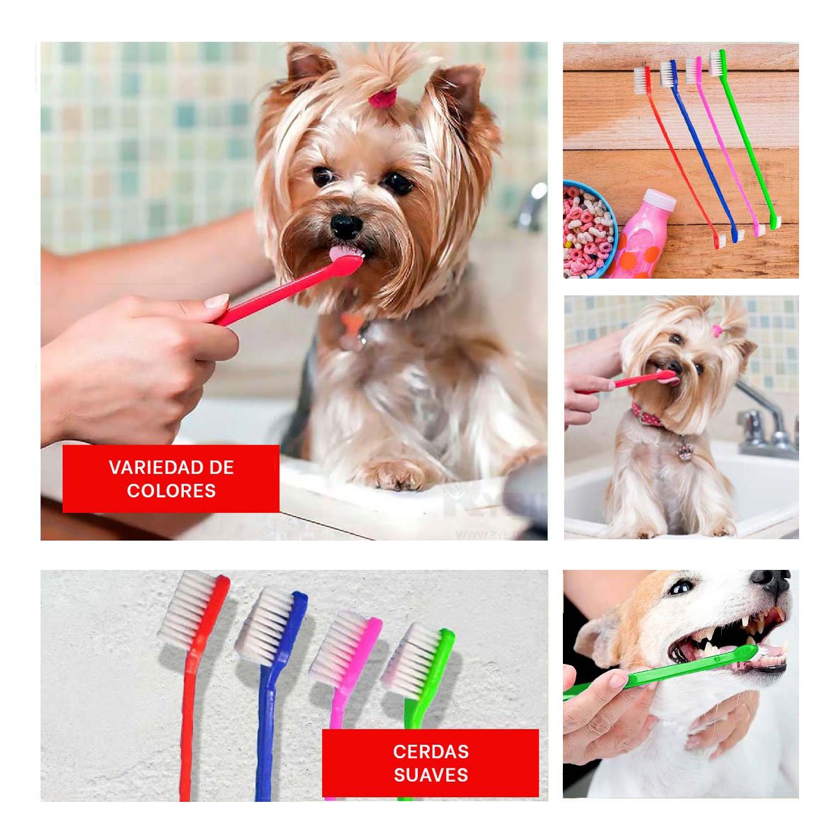 PACK4 CAJA DE CEPILLOS DENTALES PARA MASCOTAS MULTICOLOR CON DISENO COMPACTO Y+REGALO STICKER - 2