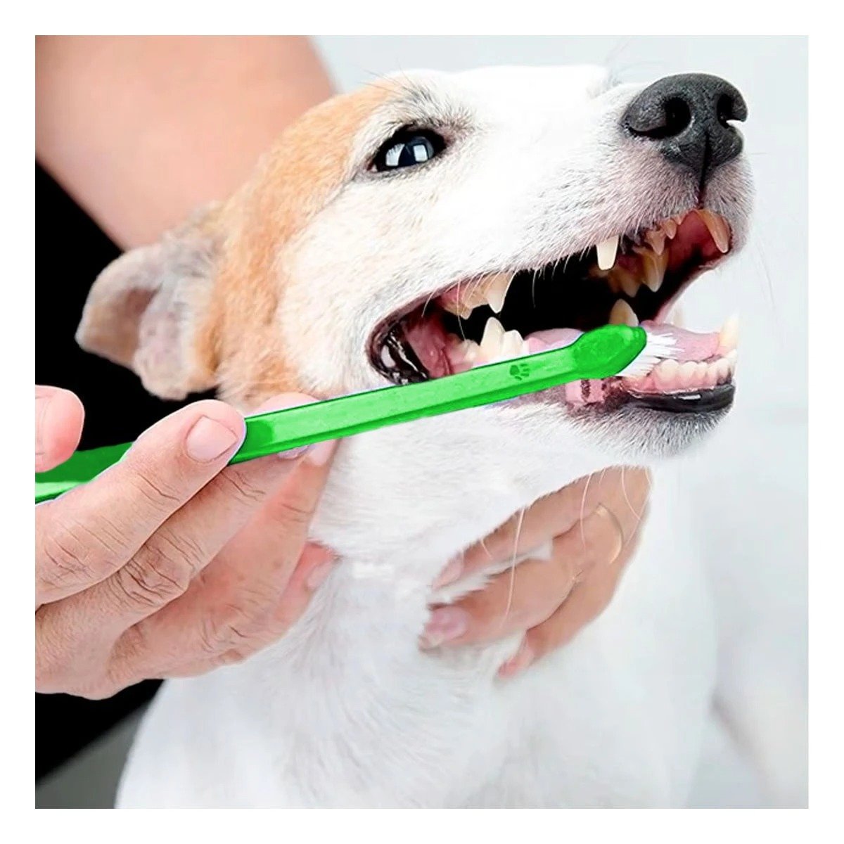 PACK2 PAQUETE DE CEPILLOS DENTALES PARA MASCOTAS MULTICOLOR CON CUIDADO DIARIO Y SUAVE - 2