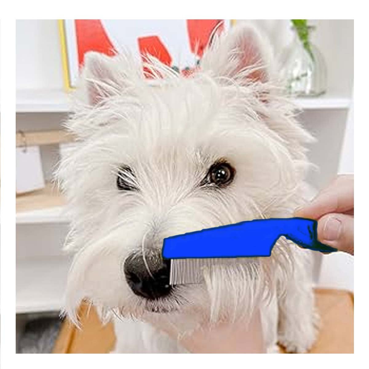 PACK12 PINCEL COMPACTO PARA MASCOTAS AZUL SACA PULGAS SIN MOLESTAR Y+PAPEL REGALO - 3