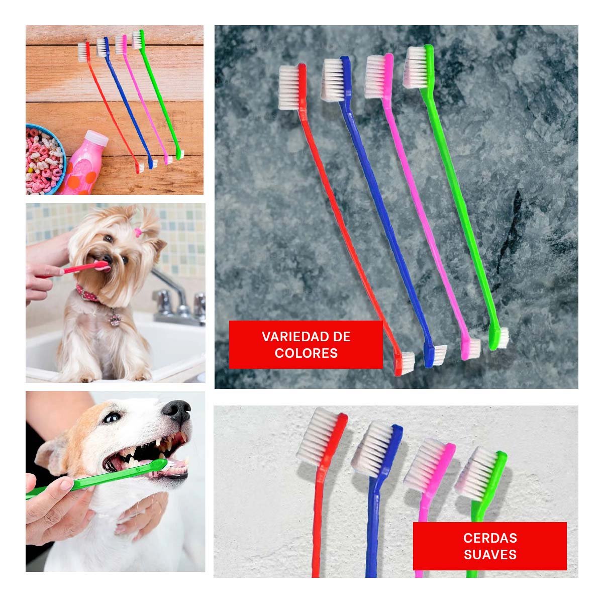 PACK12 ESTUCHE DE CEPILLOS DENTALES PARA MASCOTAS MULTICOLOR CON LIMPIEZA RAPIDA Y+PAPEL REGALO - 2