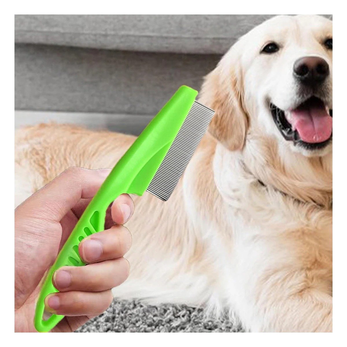 PACK6 ELIMINADOR DELICADO VERDE PARA MASCOTAS FACIL DE USAR Y SUAVE Y+PAPEL REGALO - 2