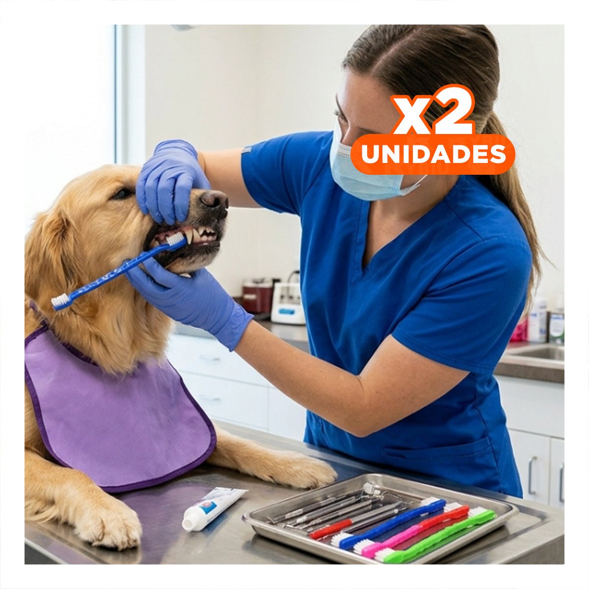 PACK2 PAQUETE DE CEPILLOS DENTALES PARA MASCOTAS MULTICOLOR CON MANGO COMODO Y+REGALO STICKER - 1