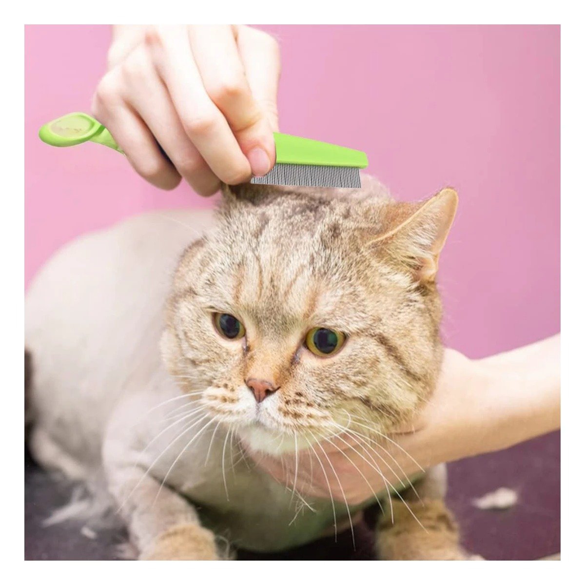 PACK4 ELIMINADOR SUAVE VERDE PARA MASCOTAS MANTIENE PELAJE LIMPIO Y COMODO - 5