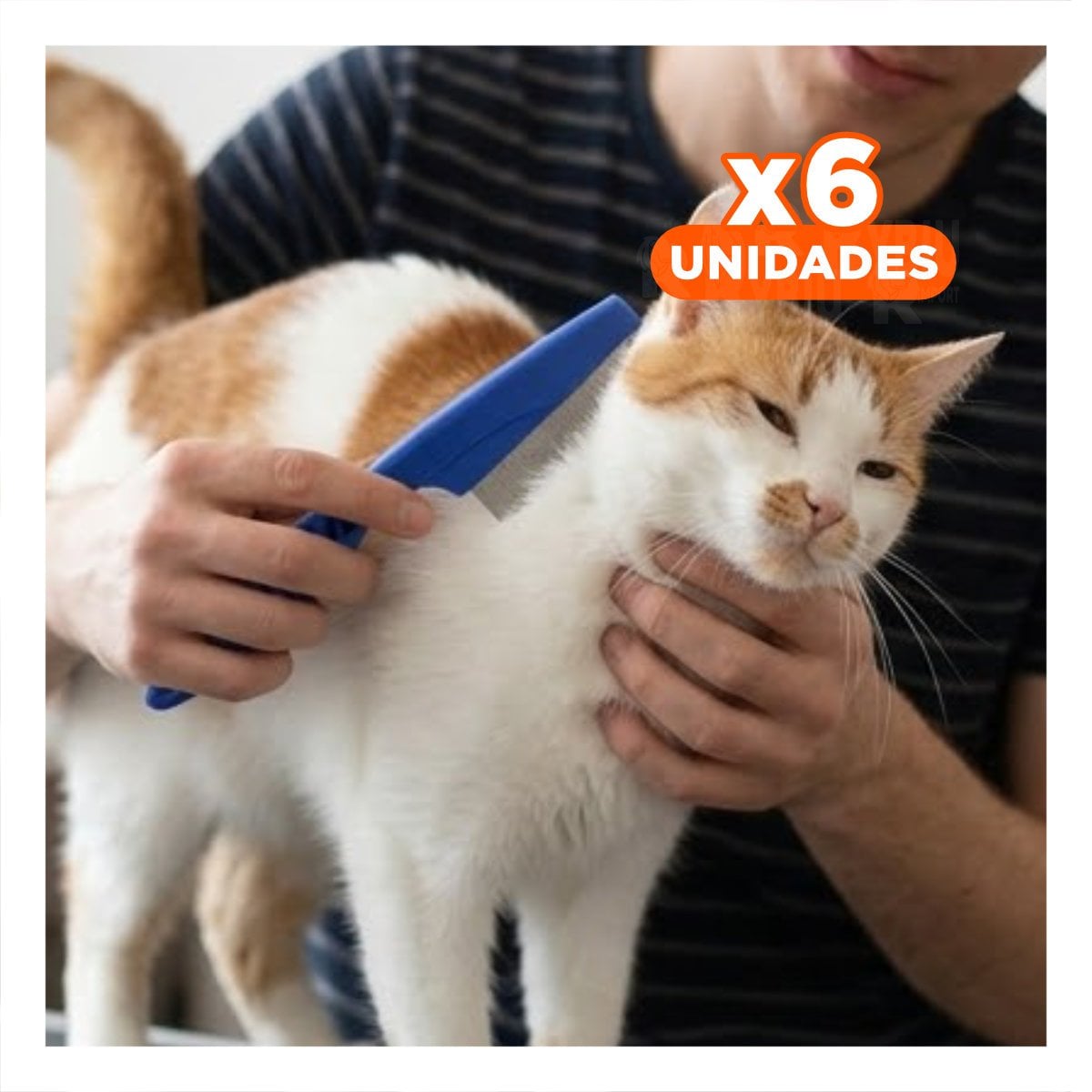 PACK6 PINCEL SUAVE AZUL PARA MASCOTAS FACILITA LA ELIMINACION DE PULGAS Y+REGALO STICKER - 1