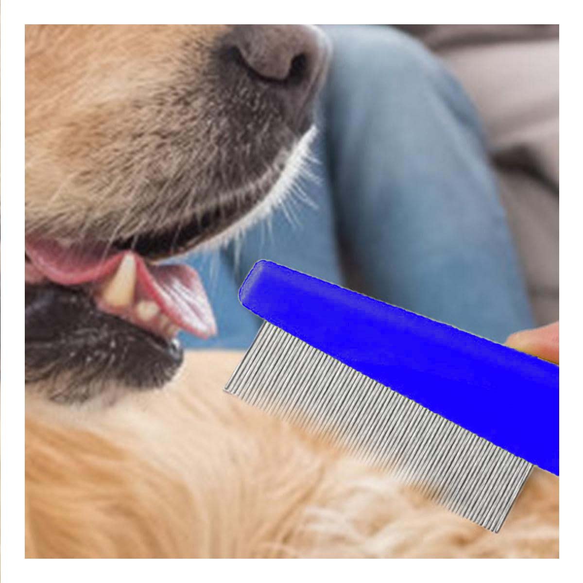PACK2 RASTRILLO PROFESIONAL AZUL FACILITA LA LIMPIEZA DE PULGAS DIARIA - 2