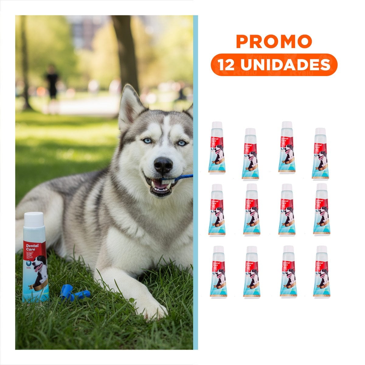 PACK12 CONJUNTO ORAL CARE AZUL 4 PIEZAS PARA DIENTES FUERTES Y+REGALO STICKER - 1