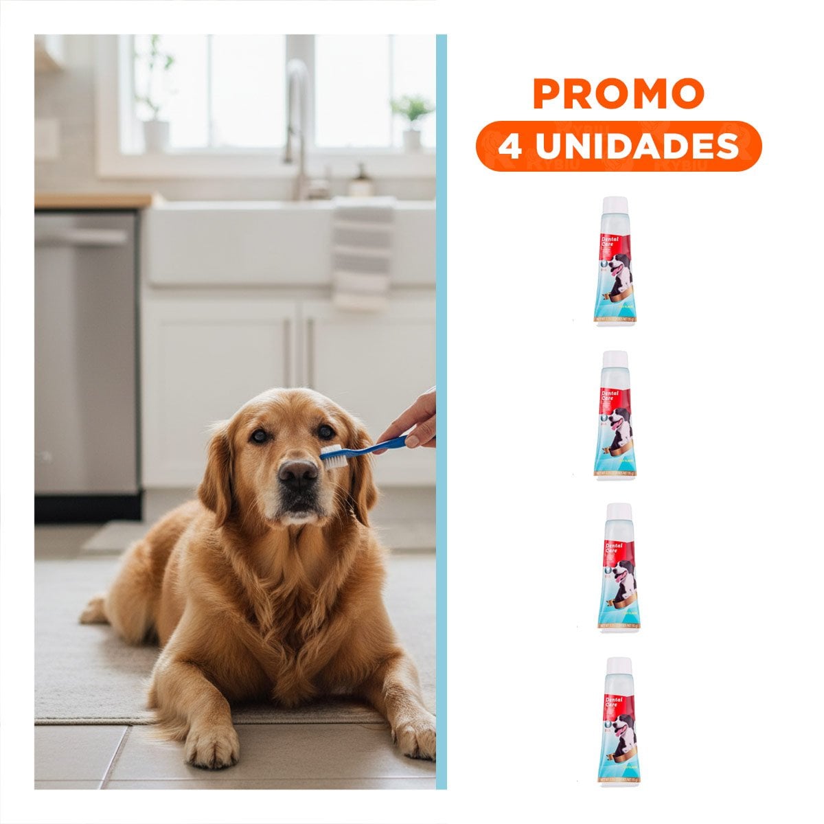 PACK4 KIT LIMPIEZA DENTAL AZUL 4 PIEZAS PARA USO DIARIO EN CASA Y+REGALO STICKER - 1