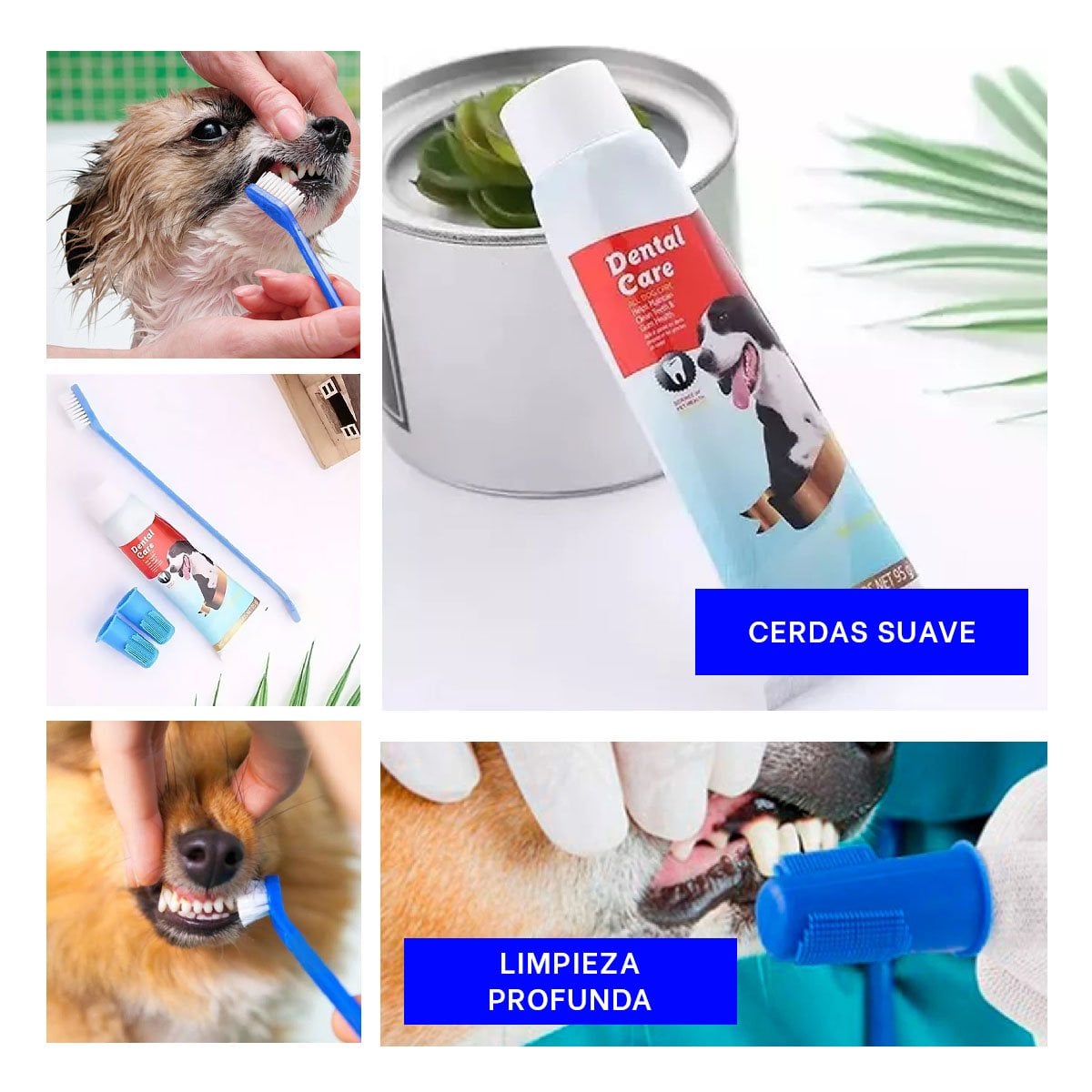 PACK4 KIT LIMPIEZA DENTAL AZUL 4 PIEZAS PARA USO DIARIO EN CASA Y+REGALO STICKER - 2