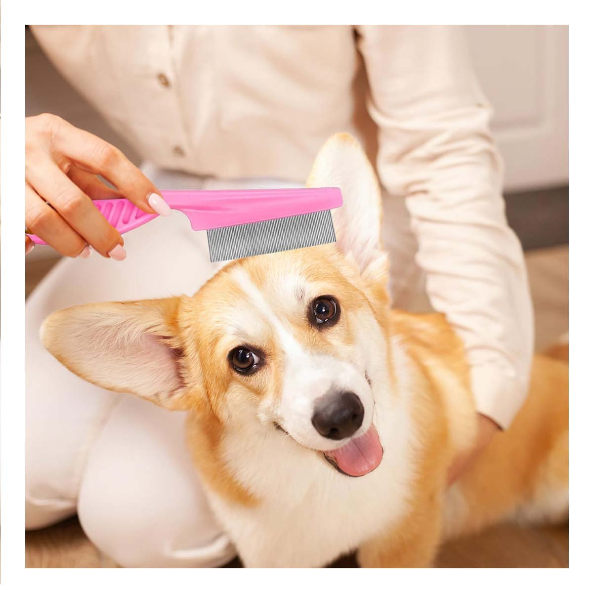 PACK2 RASTRILLO ANTIPULGAS PARA MASCOTAS ROSADO SEGURO Y COMODO Y+PAPEL REGALO - 5