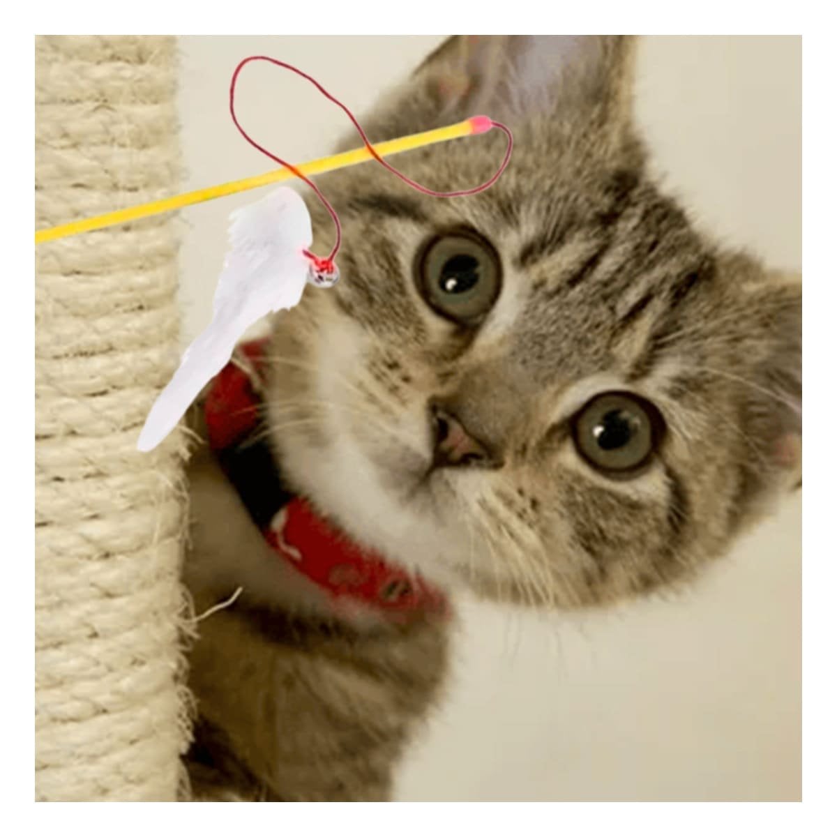 PACK6 ACCESORIO INTERACTIVO CON VARITA COLOR AMARILLO PARA GATO Y RATON BLANCO Y+REGALO STICKER - 3