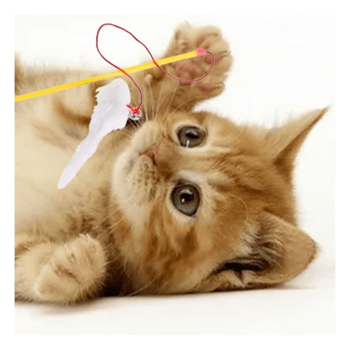 PACK6 ACCESORIO PARA GATO CON VARITA DE COLOR AMARILLO Y RATON BLANCO COMPACTO Y+PAPEL REGALO - 2