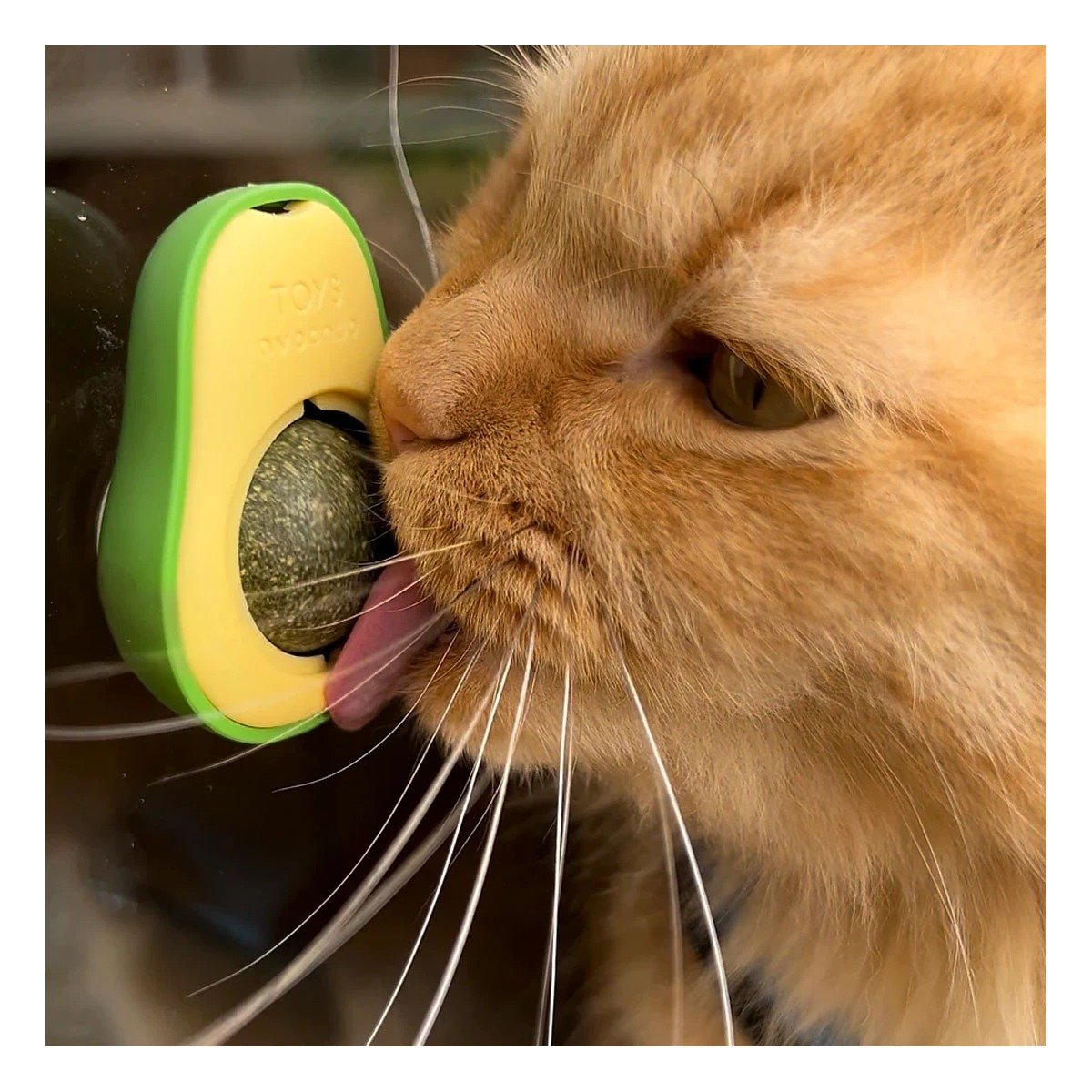 PACK12 SNACK DIVERTIDO EN FORMA DE PALTA VERDE PARA FELINOS ACTIVOS - 3