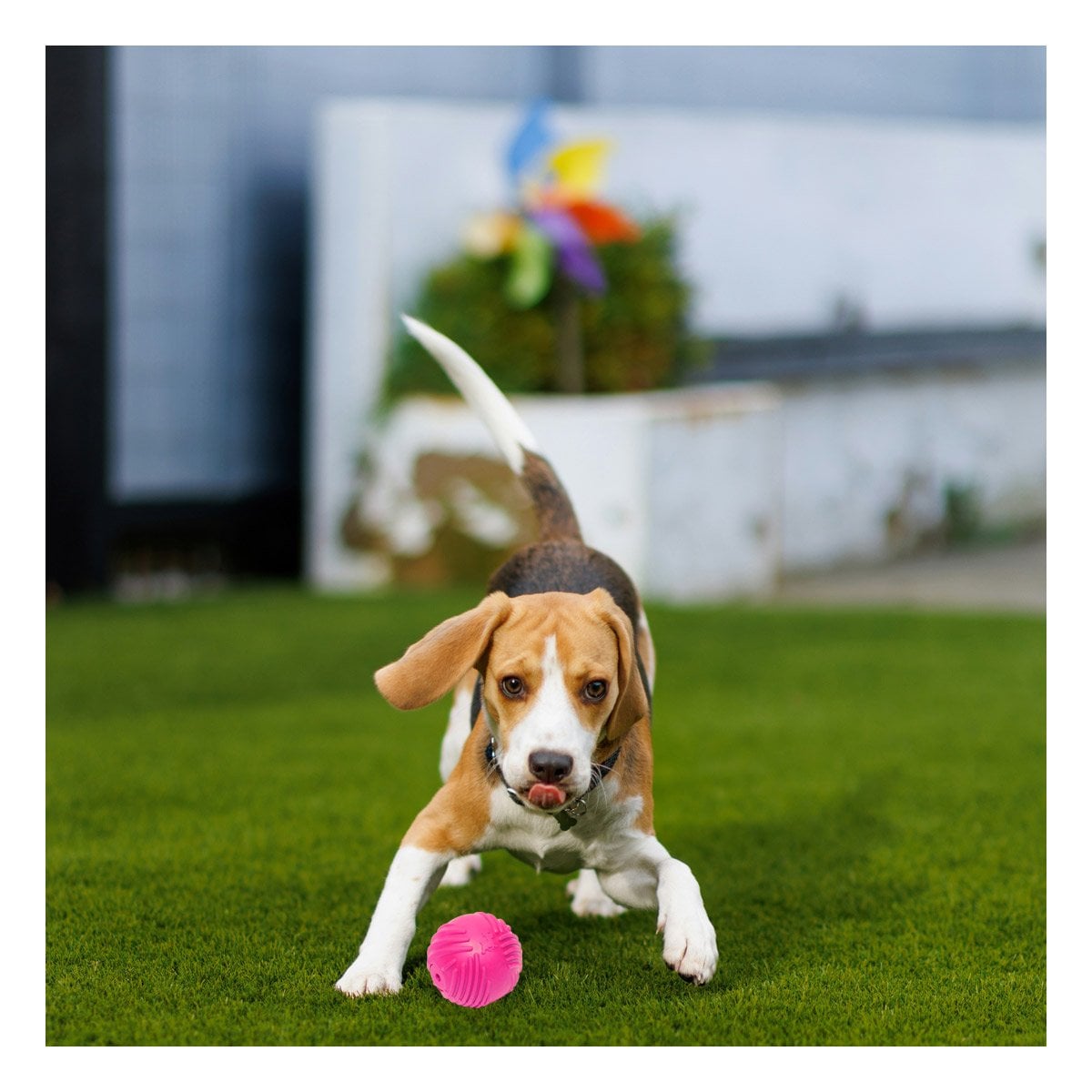 PACK4 BOLA ESTABLE DE GOMA A RAYAS EN COLOR ROSADO PARA MASCOTAS SEGURAS - 3