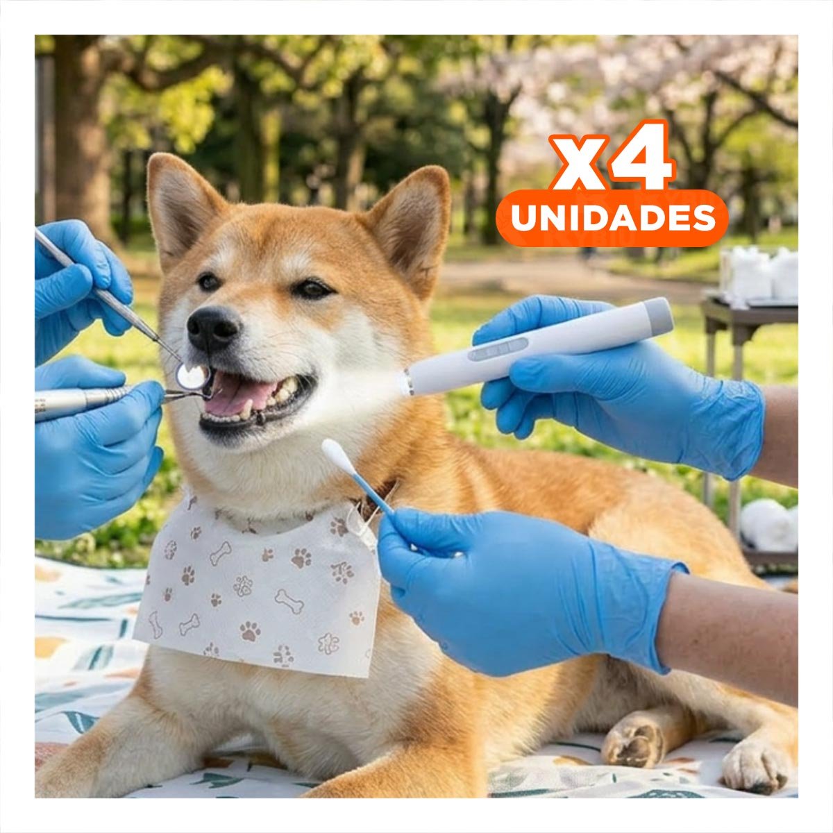 PACK4 PAQUETE DE CEPILLOS DENTALES PARA MASCOTAS MULTICOLOR CON CERDAS SUAVES Y FLEXIBLES - 1