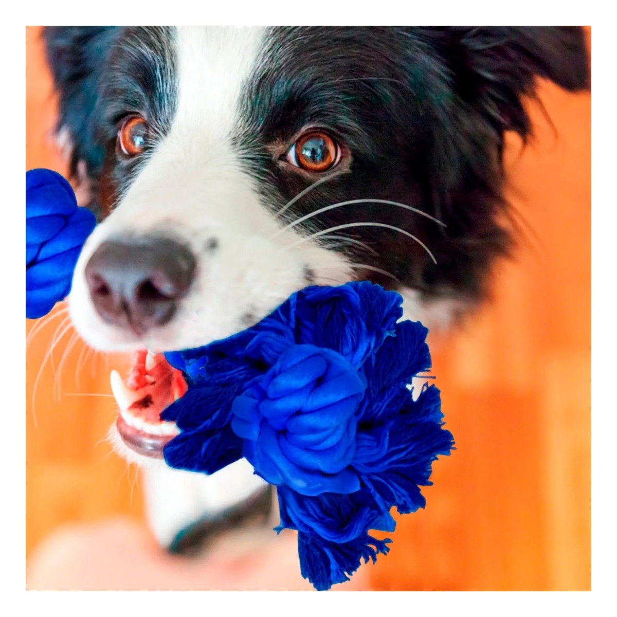 PACK6 CUERDA LIGERA DE ALGODON AZUL PARA PERRO CON AGARRADERA PRACTICA Y+PAPEL REGALO - 5