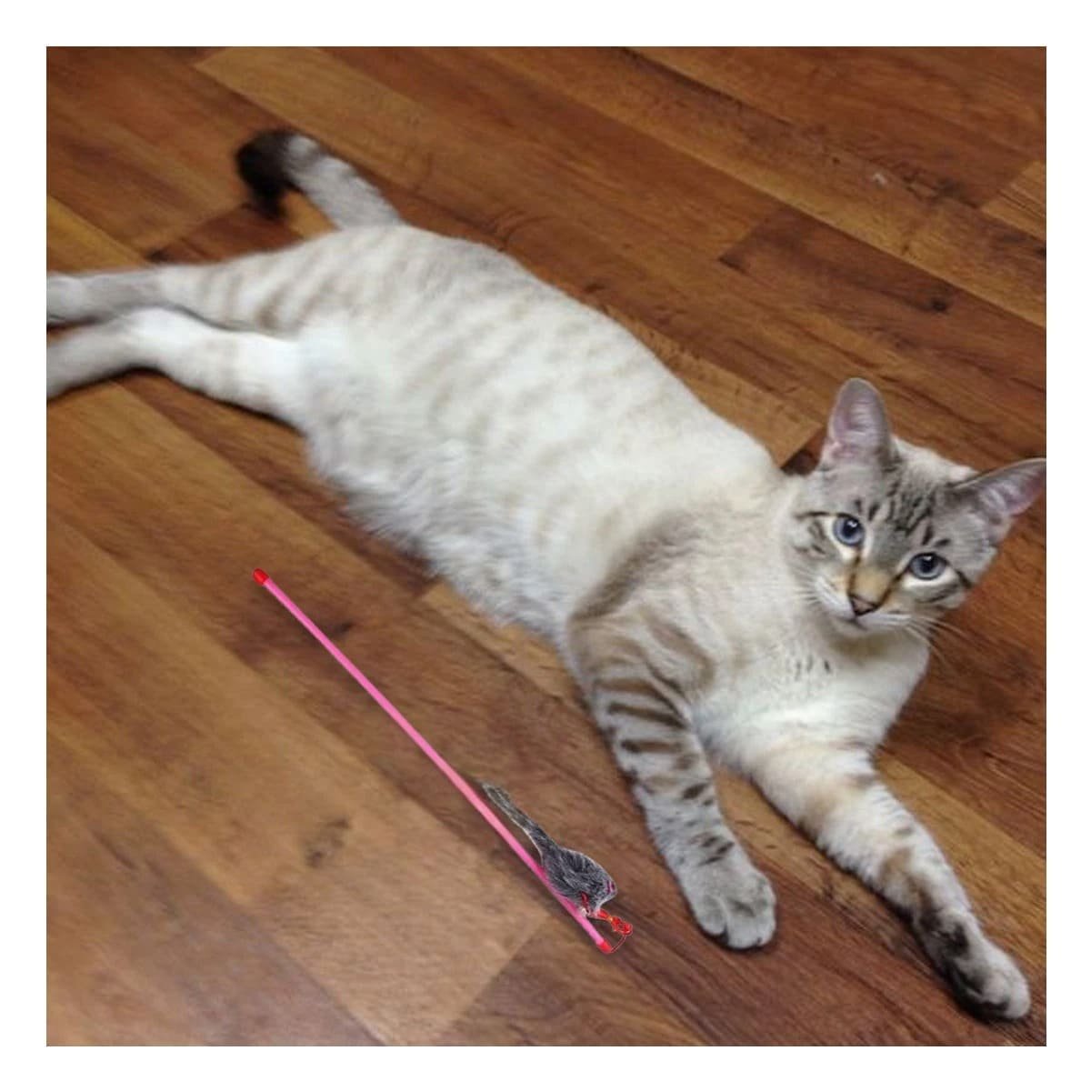 PACK4 JUEGO VERSATIL PARA GATO CON VARITA DE COLOR ROSADO Y RATON PLOMO Y+REGALO STICKER - 3
