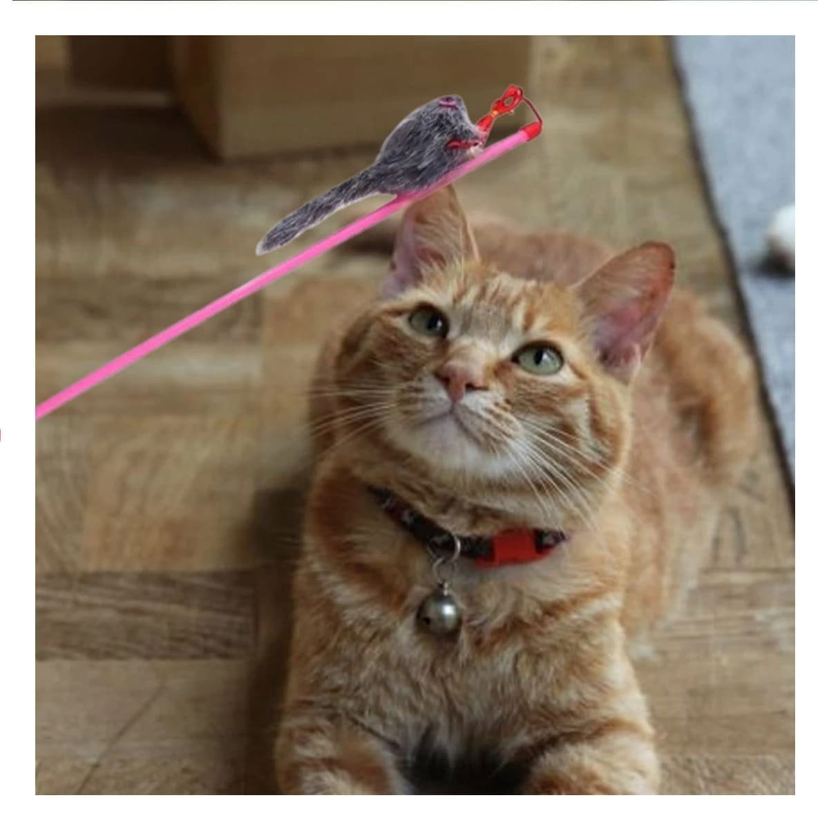 PACK4 JUEGO VERSATIL PARA GATO CON VARITA DE COLOR ROSADO Y RATON PLOMO Y+REGALO STICKER - 5