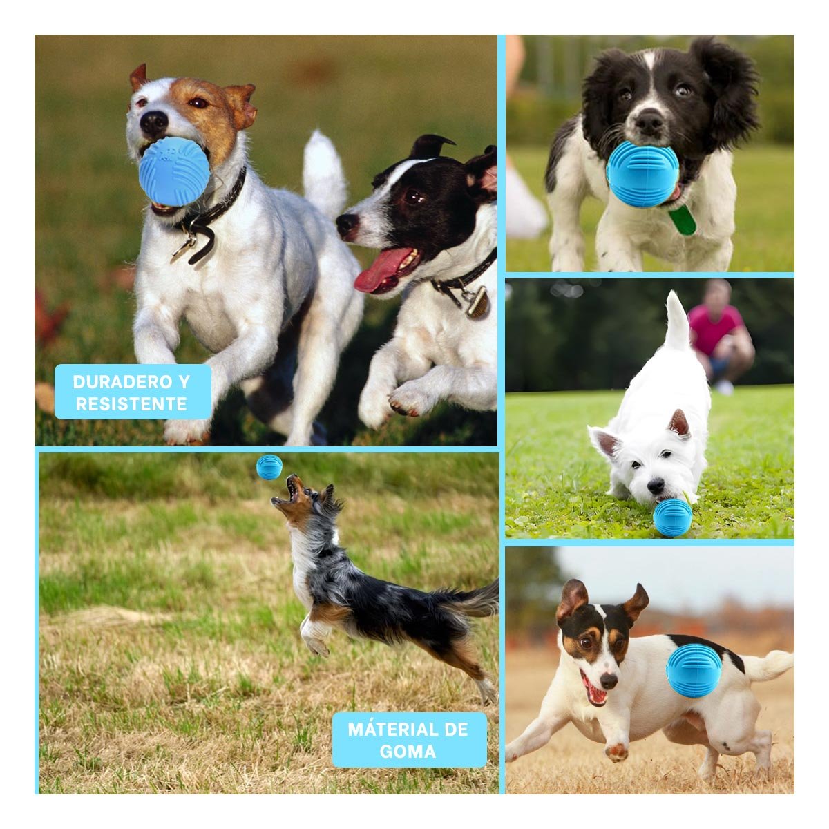 PACK4 BALON A RAYAS DE GOMA EN CELESTE PARA JUEGO SEGURO DE MASCOTAS Y+REGALO STICKER - 2