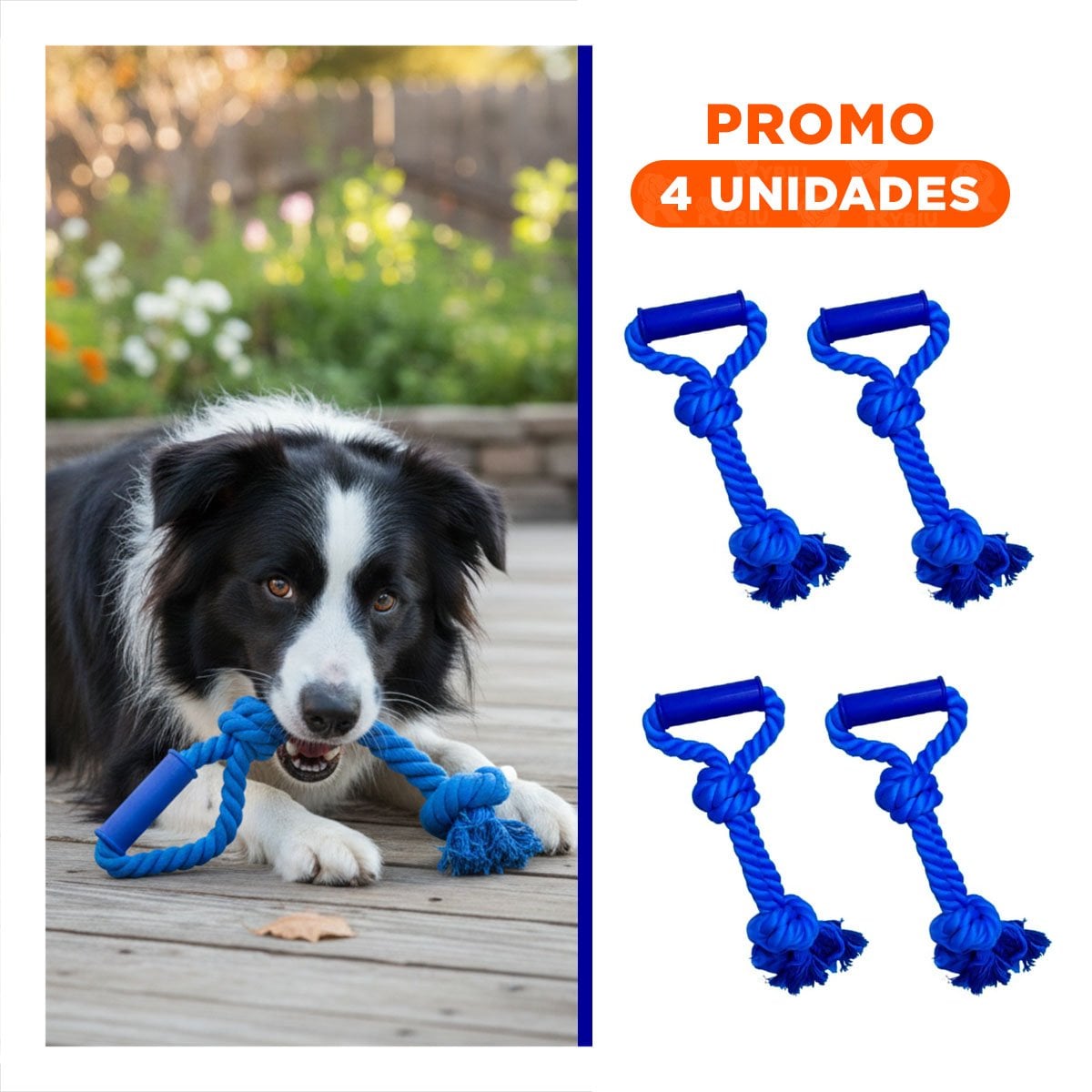 PACK4 ACCESORIO FUNCIONAL PARA PERRO CON AGARRADERA EN COLOR AZUL Y+REGALO STICKER - 1
