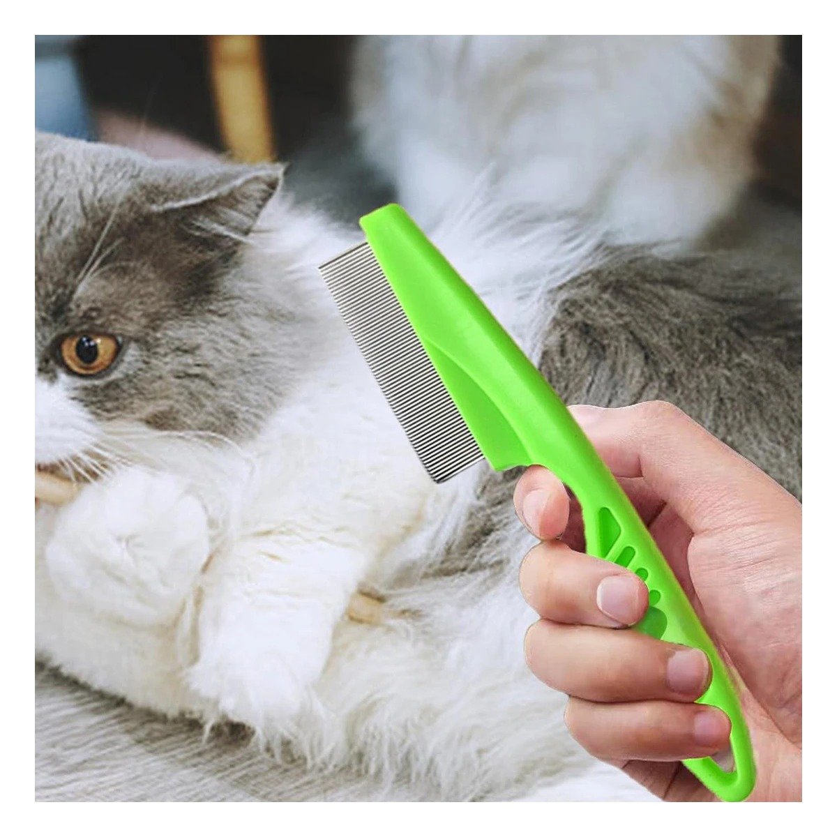 PACK6 ELIMINADOR ANTIPULGAS PARA MASCOTAS VERDE SEGURO Y EFICAZ - 3
