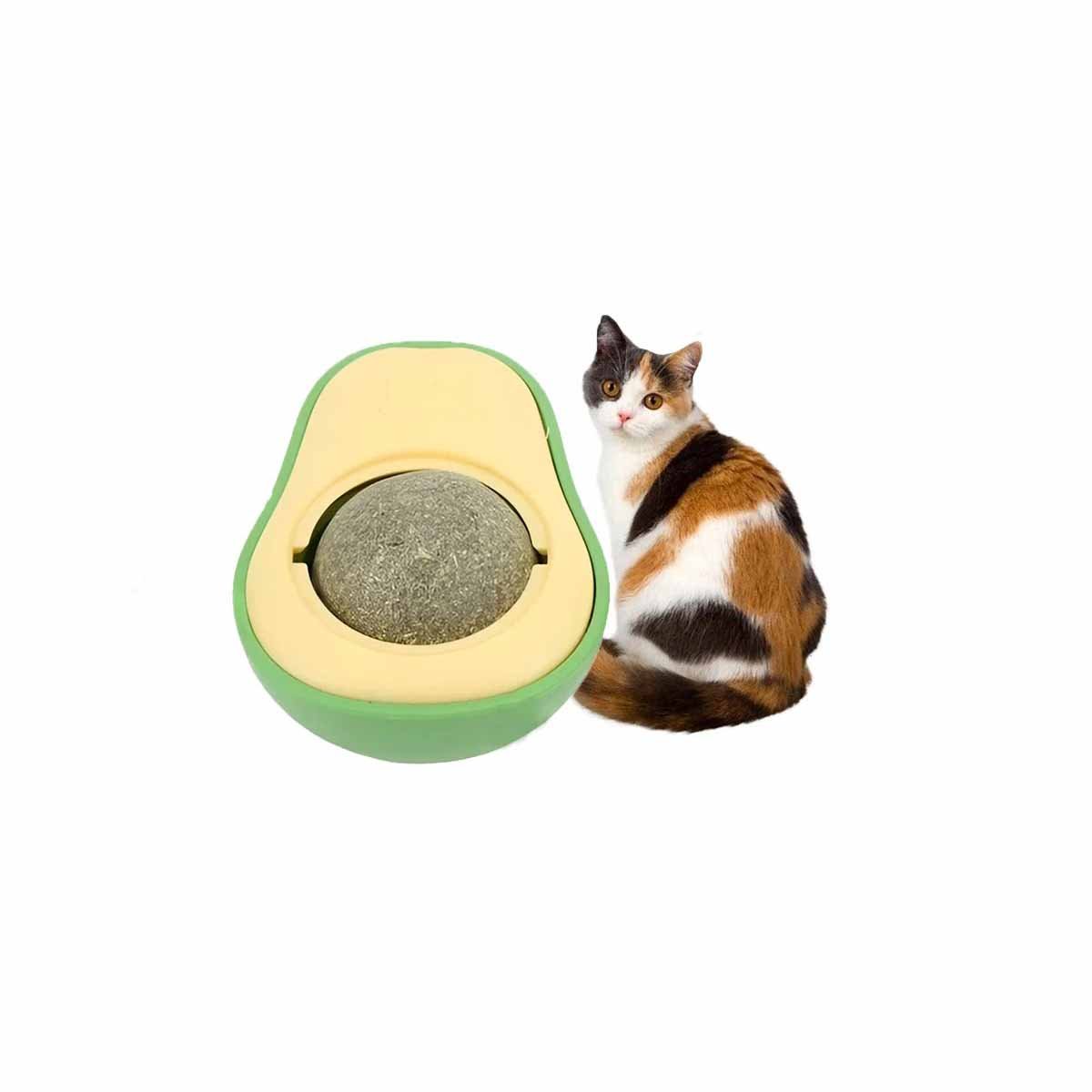PACK4 JUGUETE PARA FELINOS EN FORMA DE PALTA VERDE CON HIERBA Y+PAPEL REGALO - 3