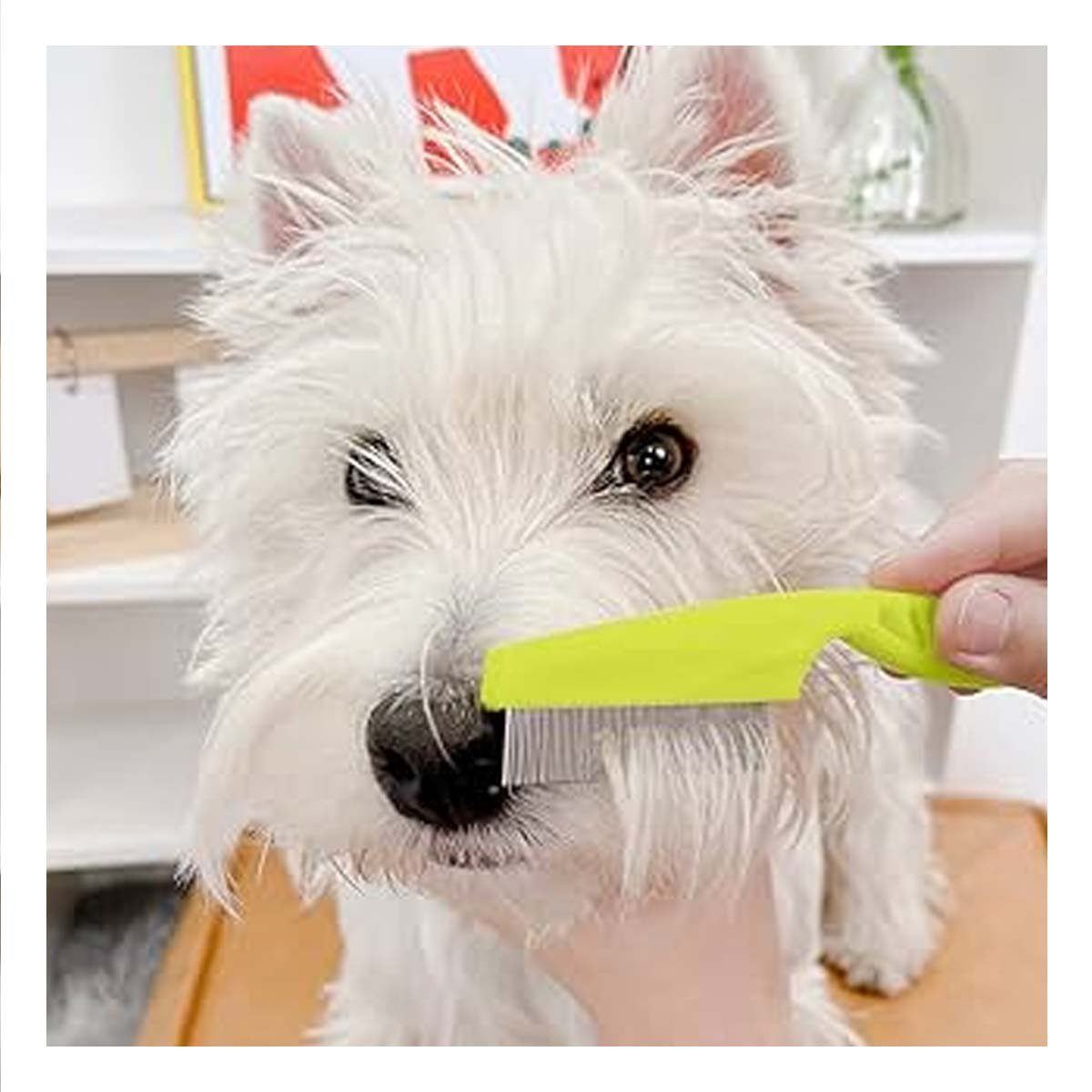 PACK2 RASTRILLO DELICADO VERDE PARA MASCOTAS FACIL DE USAR Y SUAVE Y+REGALO STICKER - 3