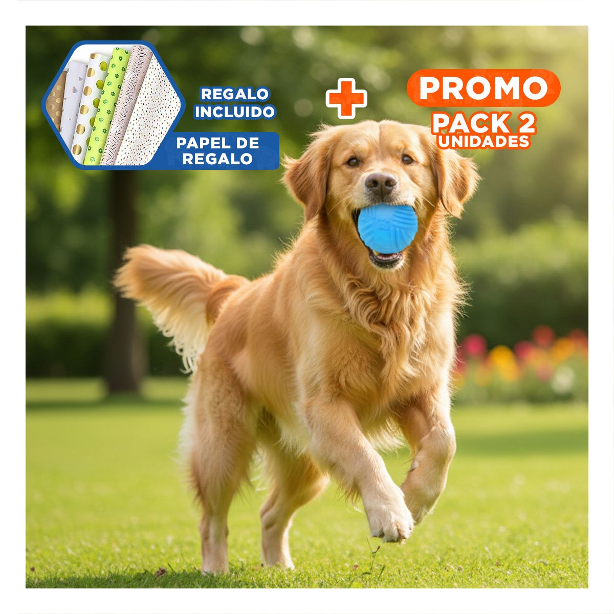 PACK2 BOLA FLEXIBLE DE GOMA CON RAYAS EN COLOR CELESTE PARA USO DIARIO Y+PAPEL REGALO - 1