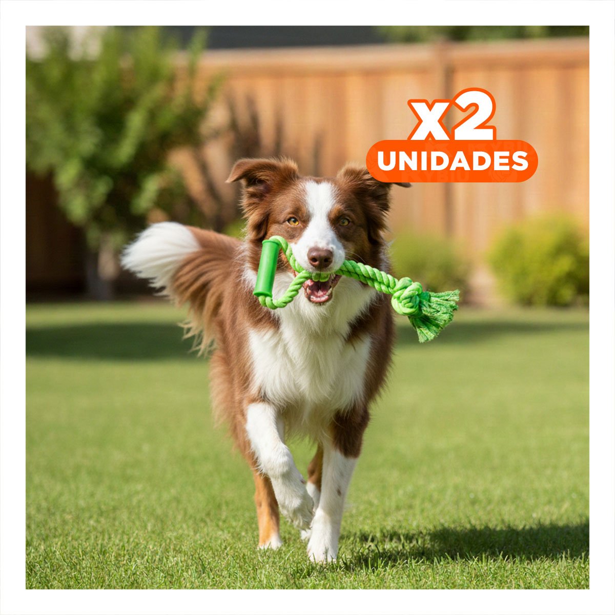PACK2 SOGA COMODA PARA PERRO EN COLOR VERDE LIMON CON AGARRADERA DE ALGODON Y+REGALO STICKER - 1