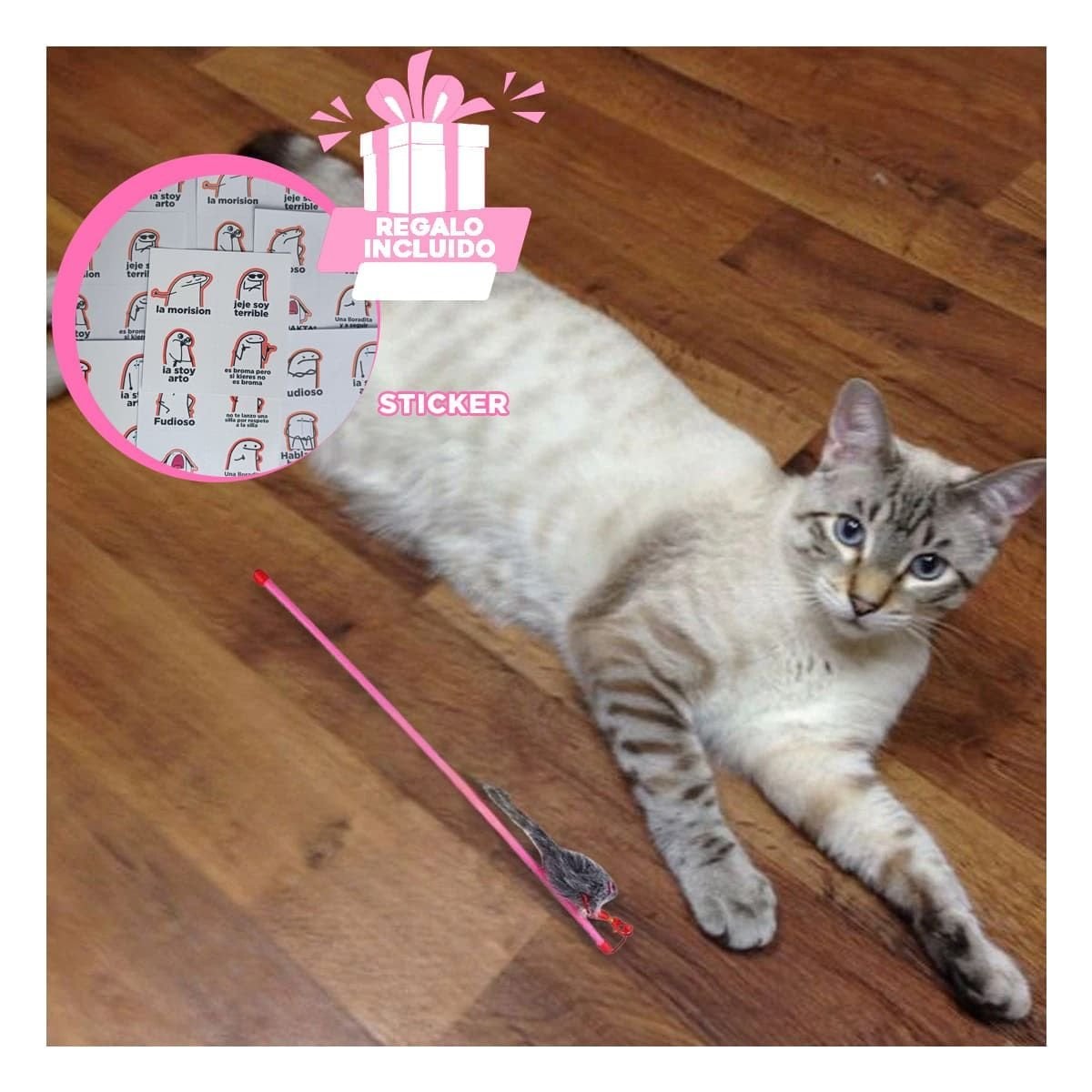 JUGUETE COMPACTO CON VARITA DE COLOR ROSADO PARA GATO Y RATON PLOMO Y+REGALO STICKER - 1