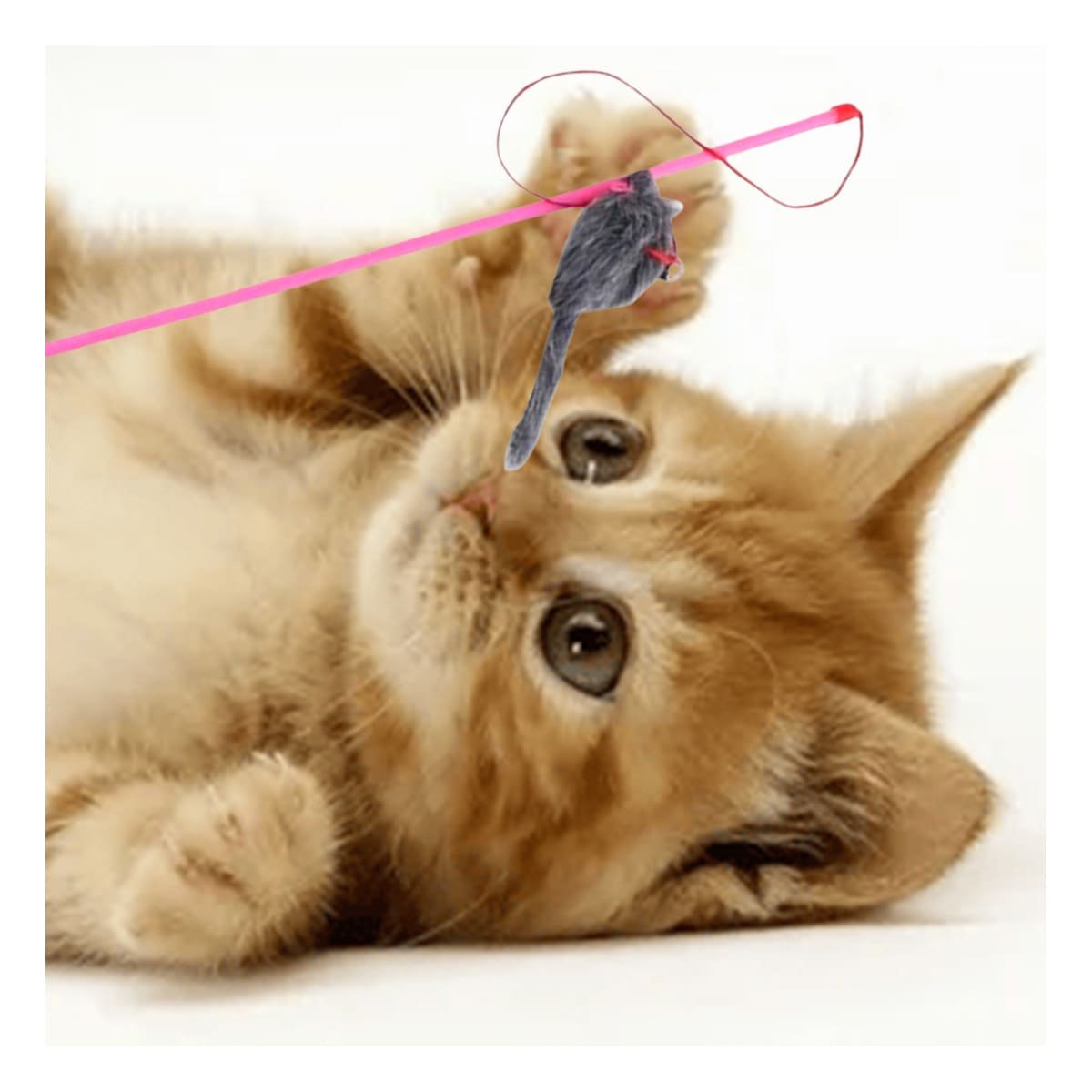 JUGUETE COMPACTO CON VARITA DE COLOR ROSADO PARA GATO Y RATON PLOMO Y+REGALO STICKER - 5