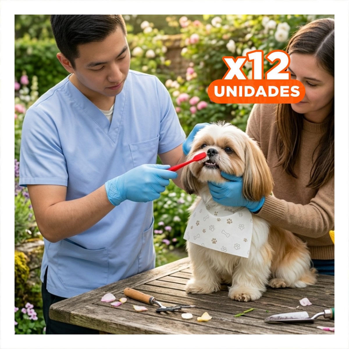 PACK12 CAJA DE CEPILLOS DENTALES PARA MASCOTAS MULTICOLOR CON CERDAS DURABLES Y COMODAS - 1