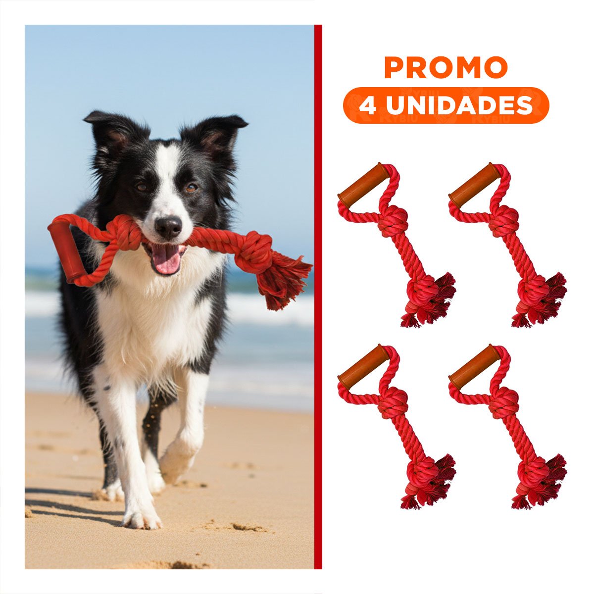 PACK4 ACCESORIO FUNCIONAL PARA PERRO CON AGARRADERA EN COLOR ROJO Y+REGALO STICKER - 1