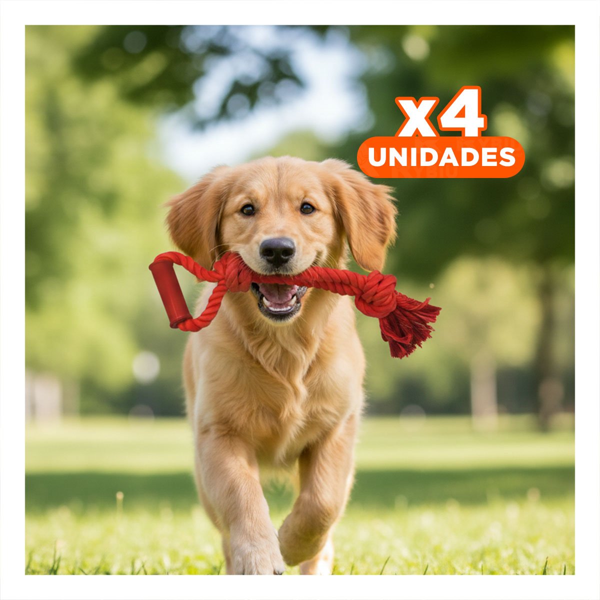 PACK4 SOGA DINAMICA PARA PERRO CON AGARRADERA ROJO DE ALGODON RESISTENTE - 1