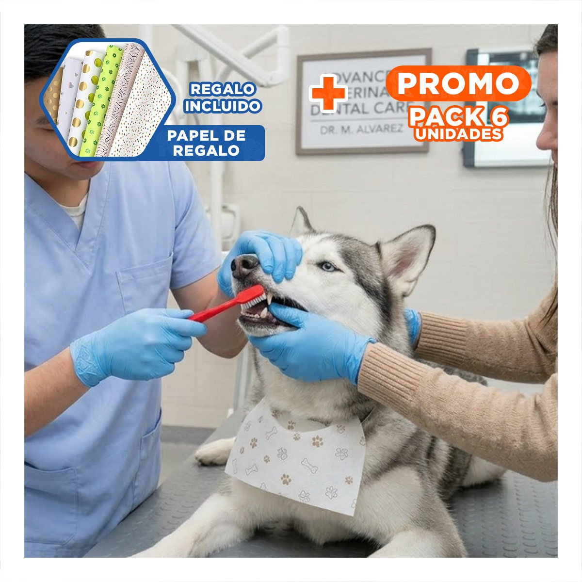 PACK6 CAJA DE CEPILLOS DENTALES PARA MASCOTAS MULTICOLOR CON CUIDADO ORAL Y+PAPEL REGALO - 1