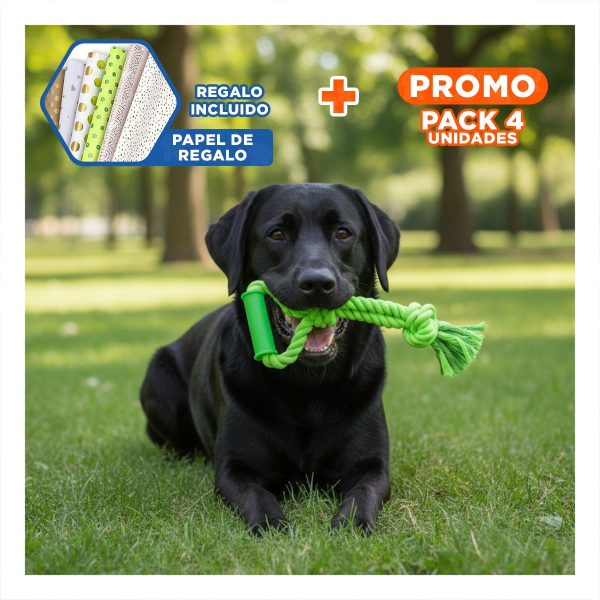 PACK4 SOGA COMPACTA PARA PERRO DE ALGODON COLOR VERDE LIMON CON AGARRADERA FIRME Y+PAPEL REGALO - 1