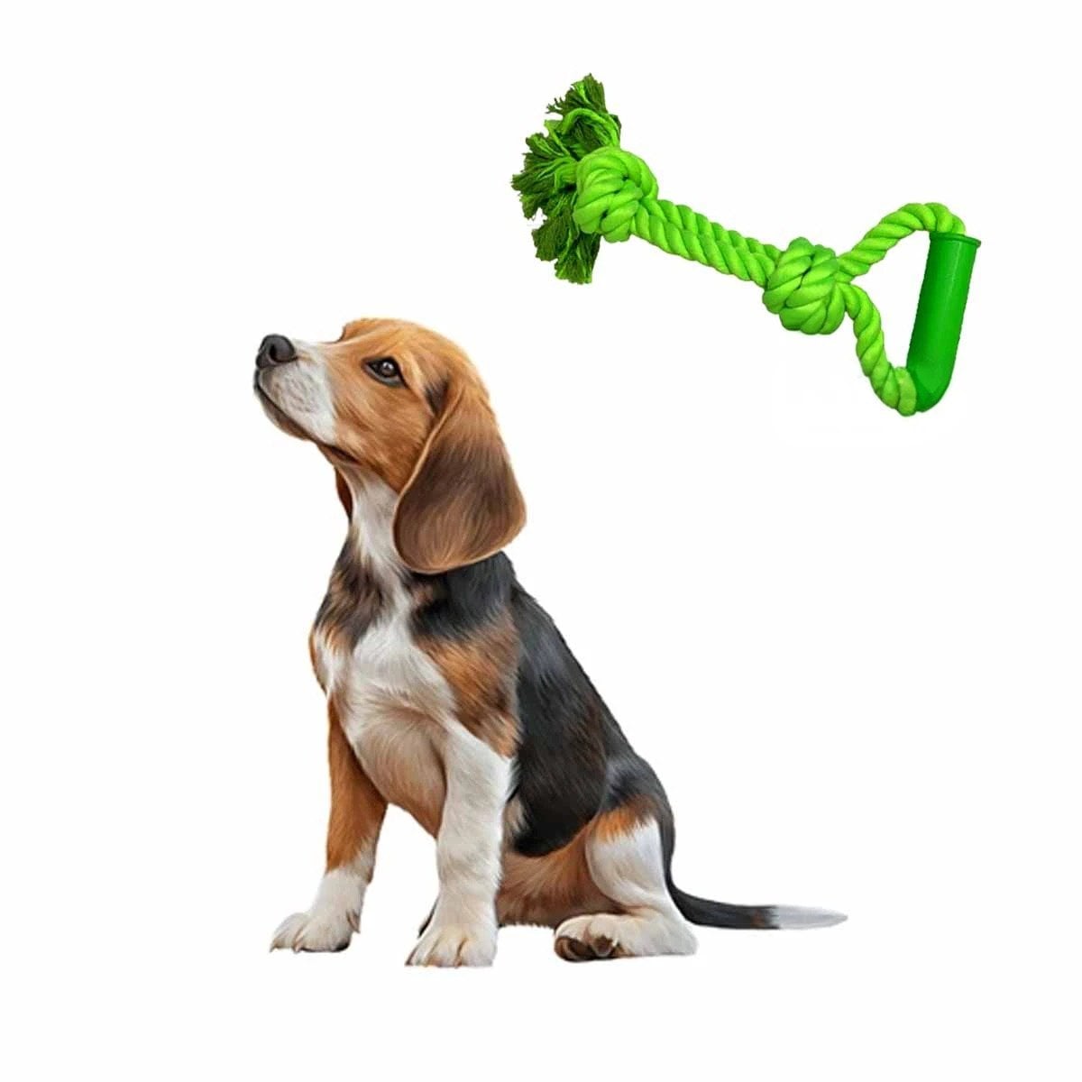PACK4 SOGA COMPACTA PARA PERRO DE ALGODON COLOR VERDE LIMON CON AGARRADERA FIRME Y+PAPEL REGALO - 3