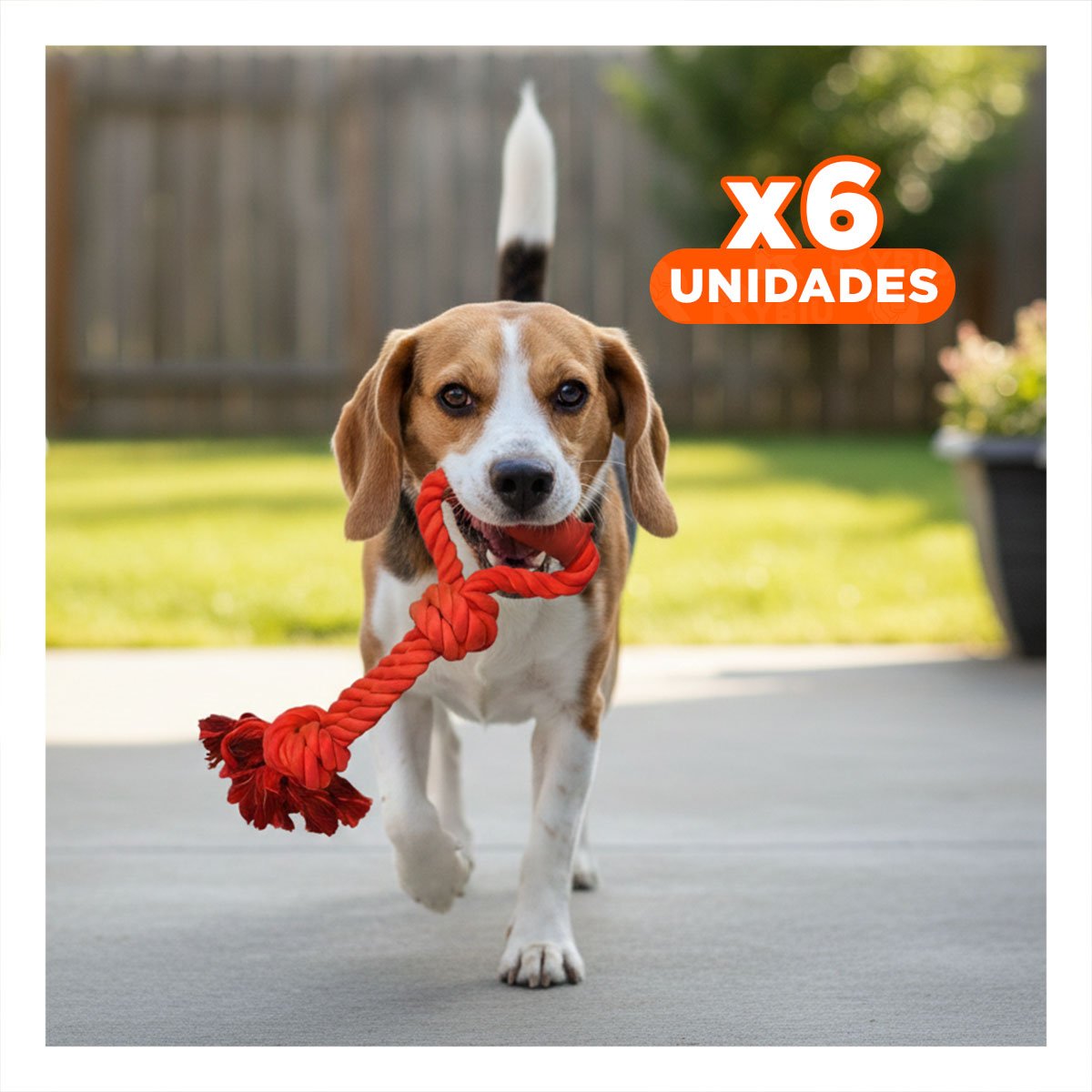 PACK6 CUERDA FUNCIONAL PARA PERRO CON AGARRADERA EN COLOR ROJO Y+REGALO STICKER - 1