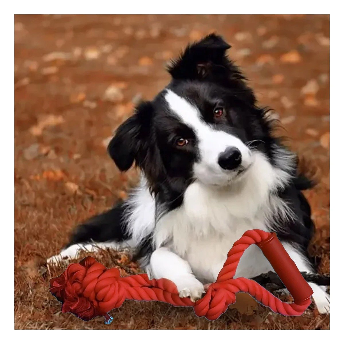 PACK6 CUERDA FUNCIONAL PARA PERRO CON AGARRADERA EN COLOR ROJO Y+REGALO STICKER - 3