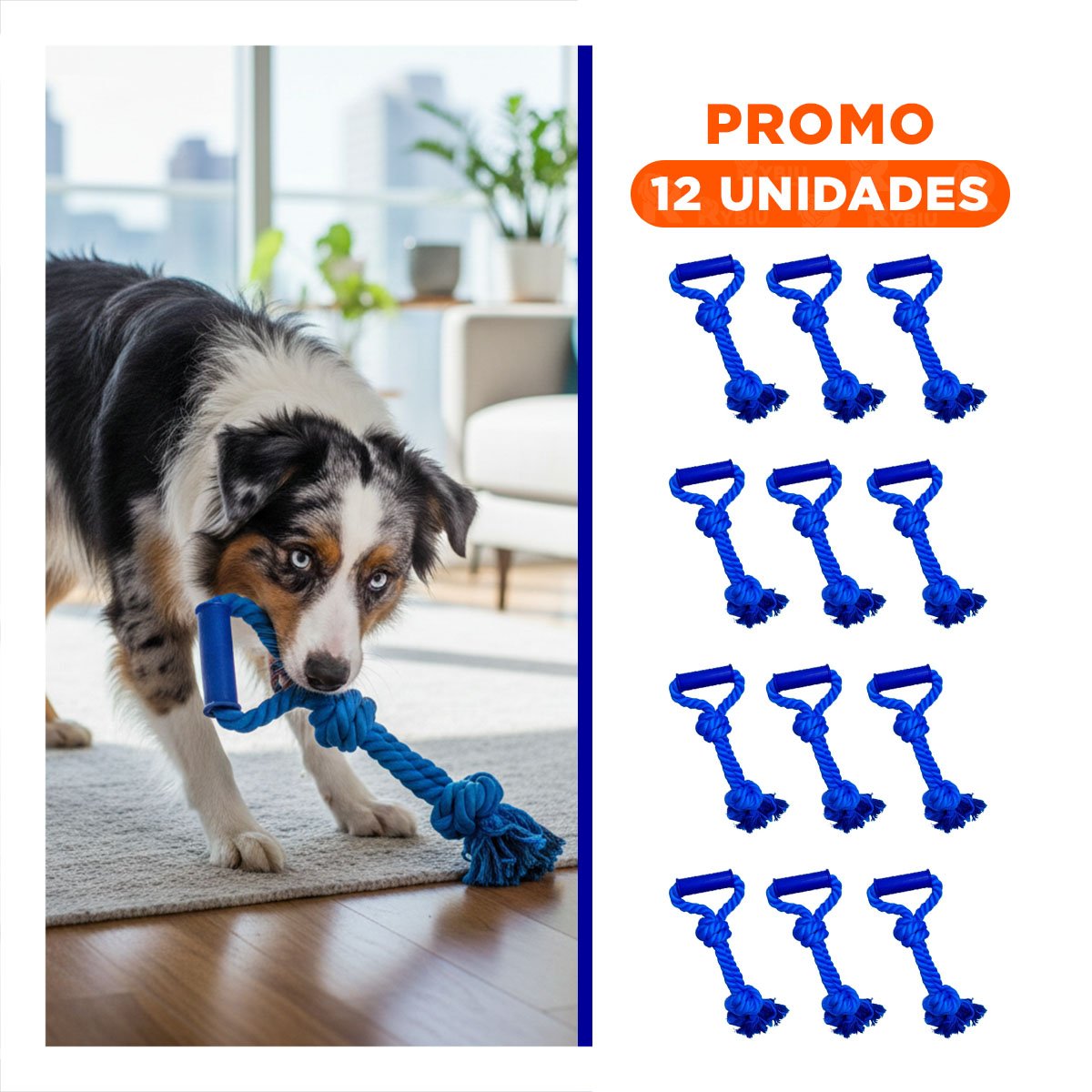 PACK12 CUERDA ACTIVA DE ALGODON AZUL PARA PERRO CON AGARRADERA COMODA Y+REGALO STICKER - 1