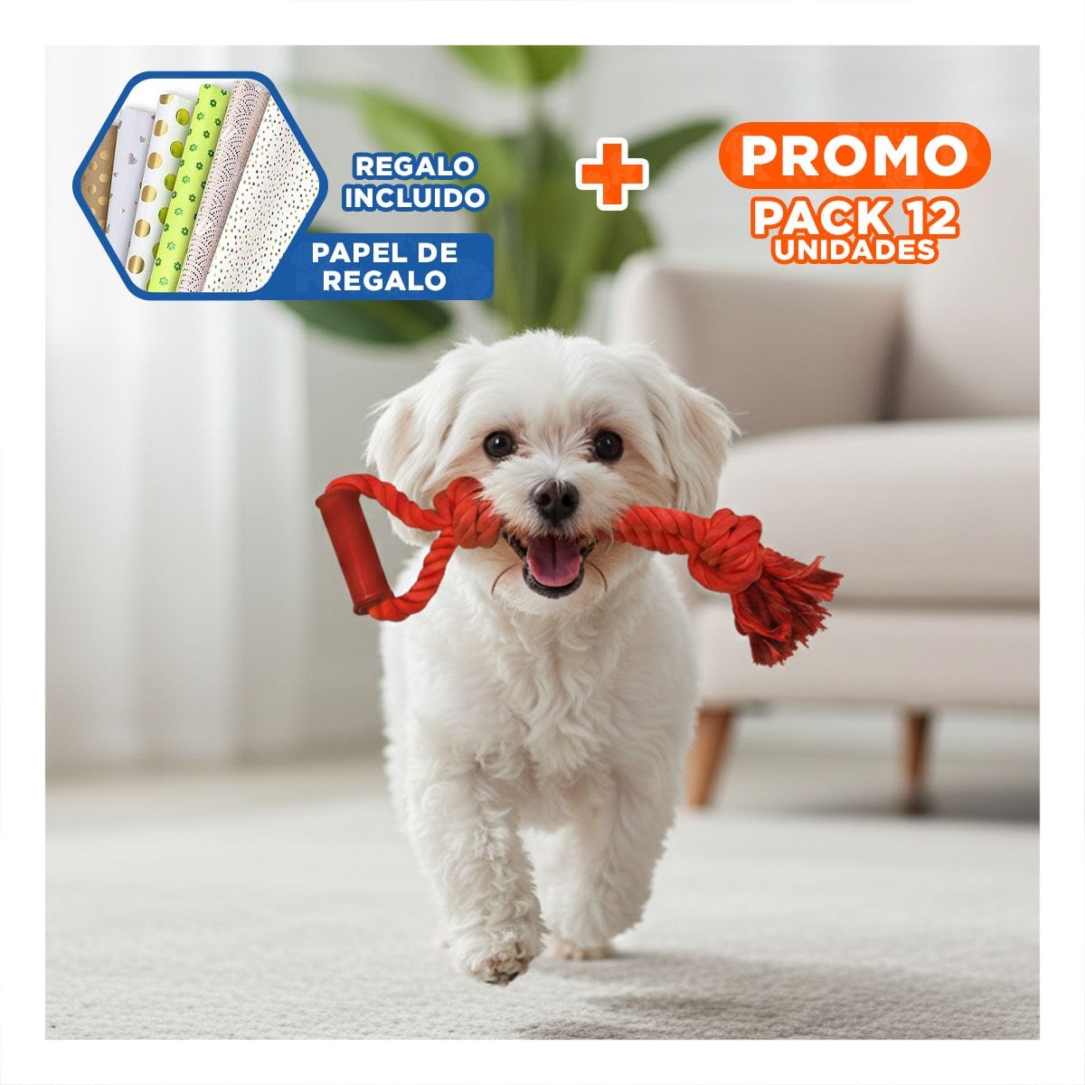 PACK12 CUERDA COMPACTA PARA PERRO CON AGARRADERA DE COLOR ROJO Y+PAPEL REGALO - 1