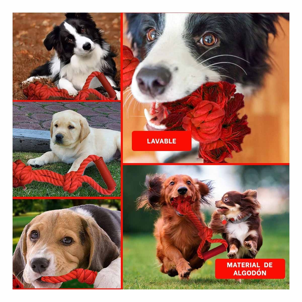 PACK12 CUERDA COMPACTA PARA PERRO CON AGARRADERA DE COLOR ROJO Y+PAPEL REGALO - 2