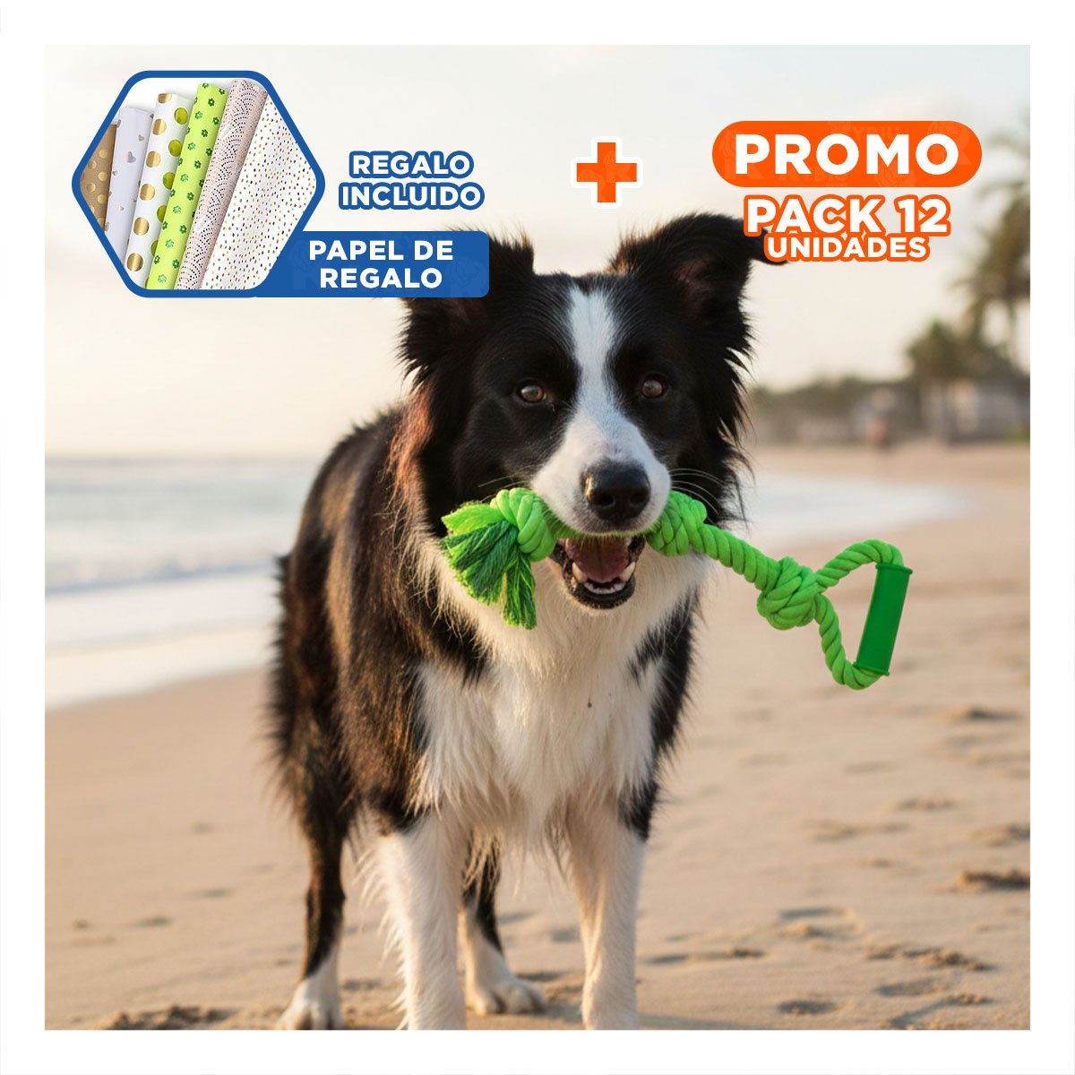 PACK12 CUERDA COMPACTA PARA PERRO CON AGARRADERA DE COLOR VERDE LIMON Y+PAPEL REGALO - 1