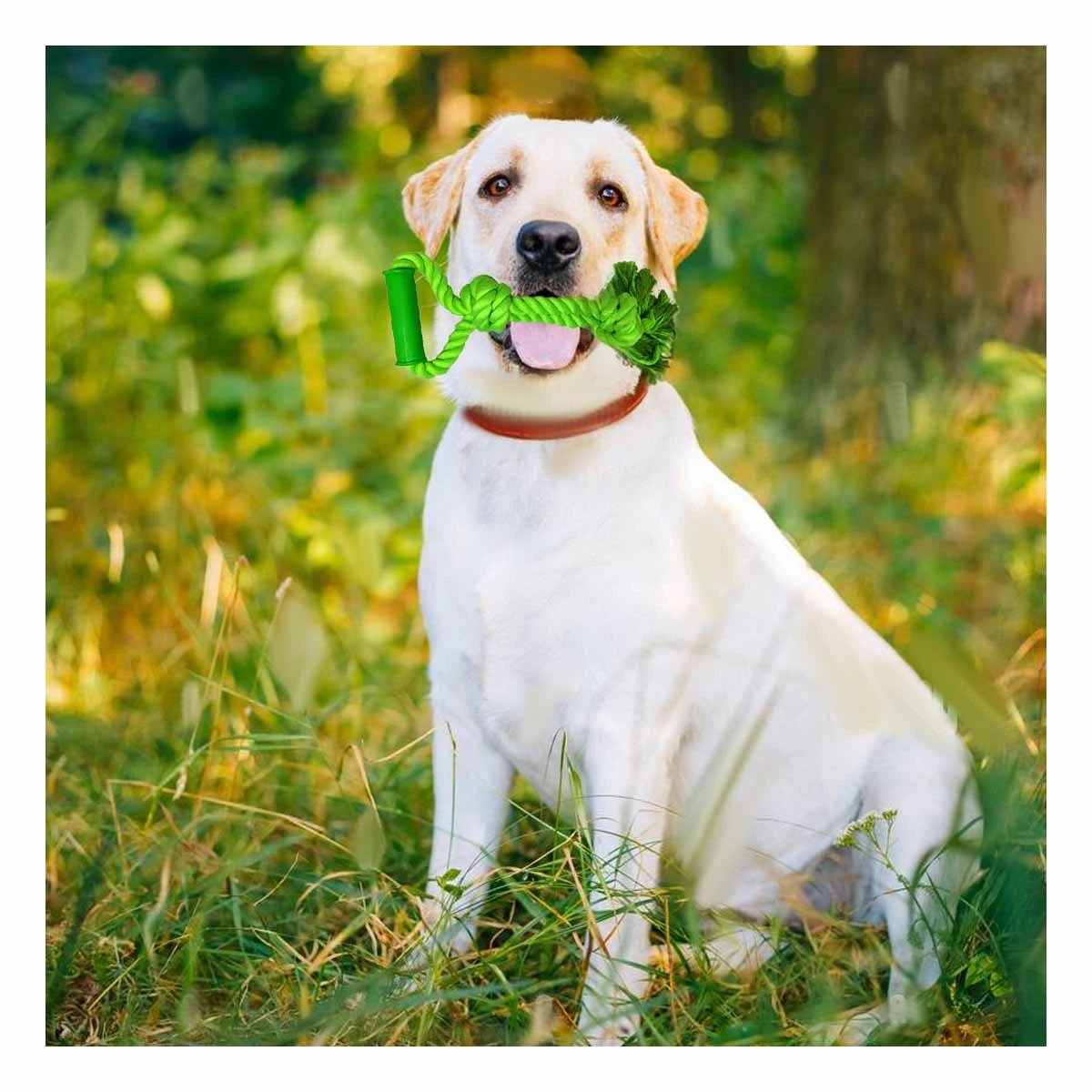 PACK12 CUERDA COMPACTA PARA PERRO CON AGARRADERA DE COLOR VERDE LIMON Y+PAPEL REGALO - 5