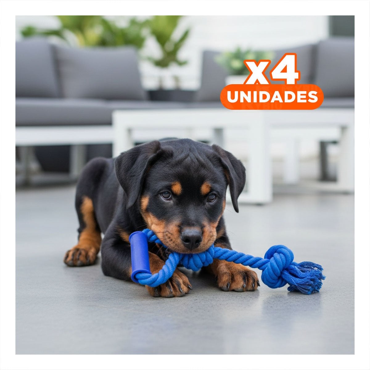 PACK4 SOGA DINAMICA PARA PERRO CON AGARRADERA AZUL DE ALGODON RESISTENTE - 1