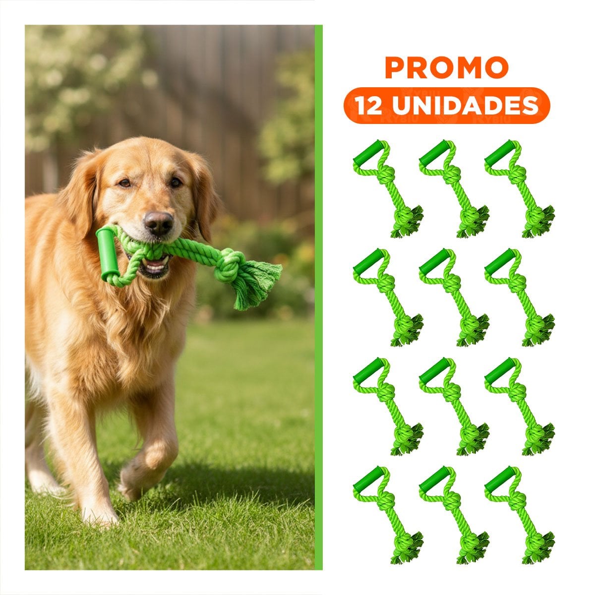 PACK12 CUERDA ACTIVA DE ALGODON VERDE LIMON PARA PERRO CON AGARRADERA COMODA Y+REGALO STICKER - 1