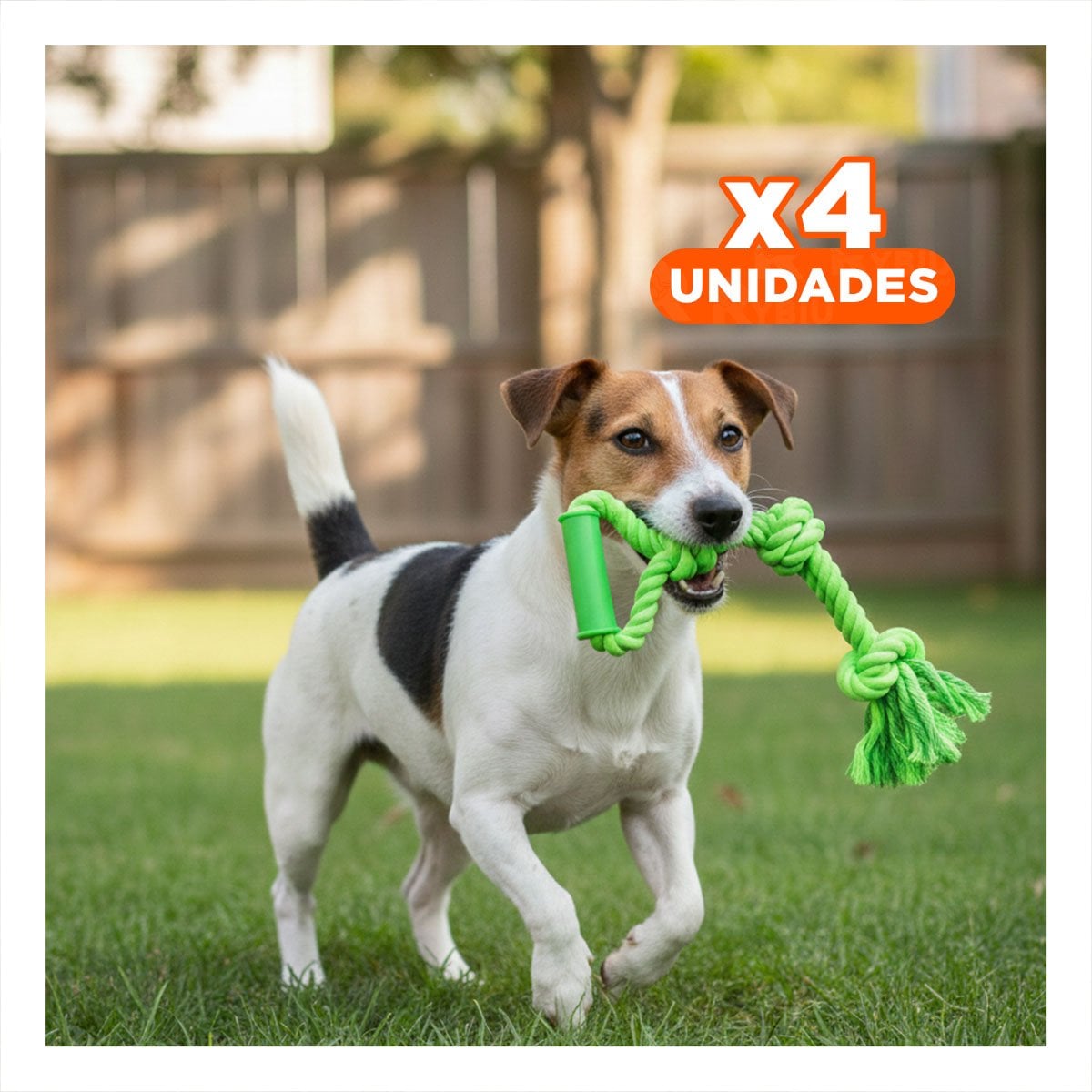 PACK4 SOGA DINAMICA PARA PERRO CON AGARRADERA VERDE LIMON DE ALGODON RESISTENTE - 1