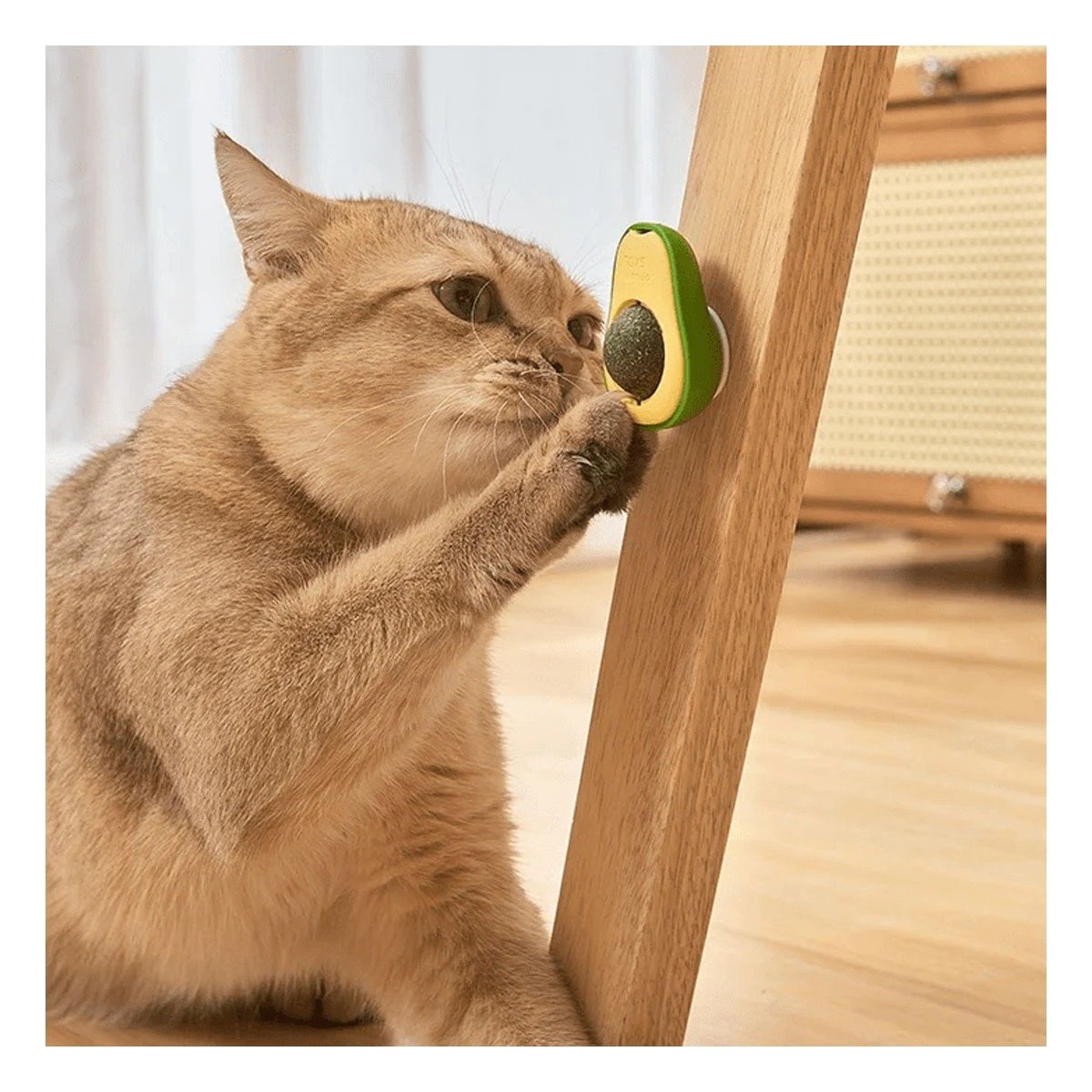 PACK2 HERBAL NATURAL EN FORMA DE PALTA VERDE PARA GATOS FELICES - 5