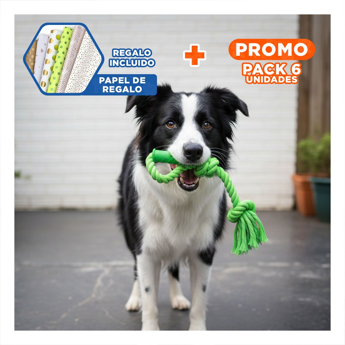 PACK6 CUERDA LIGERA DE ALGODON VERDE LIMON PARA PERRO CON AGARRADERA PRACTICA Y+PAPEL REGALO - 1