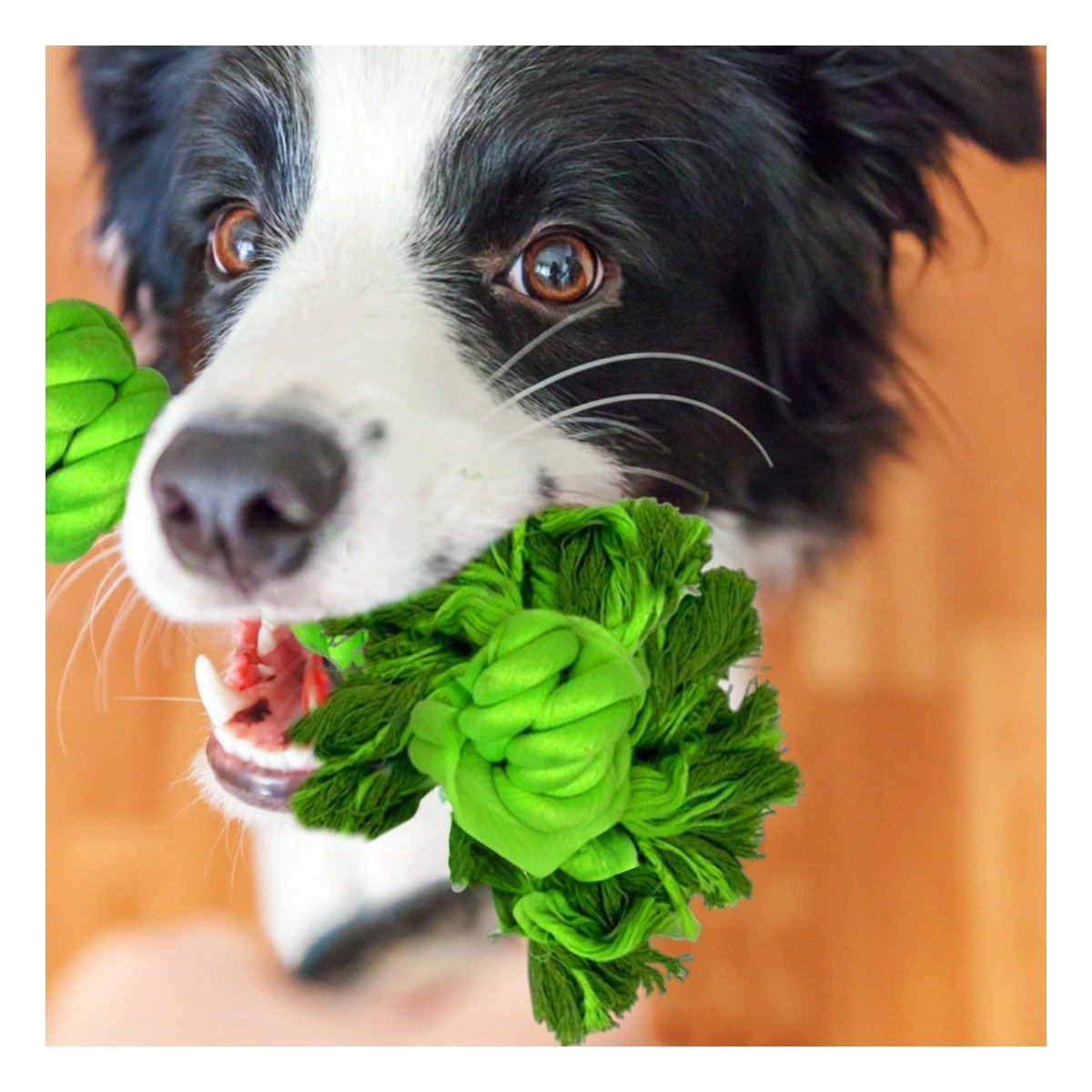 PACK6 CUERDA LIGERA DE ALGODON VERDE LIMON PARA PERRO CON AGARRADERA PRACTICA Y+PAPEL REGALO - 2