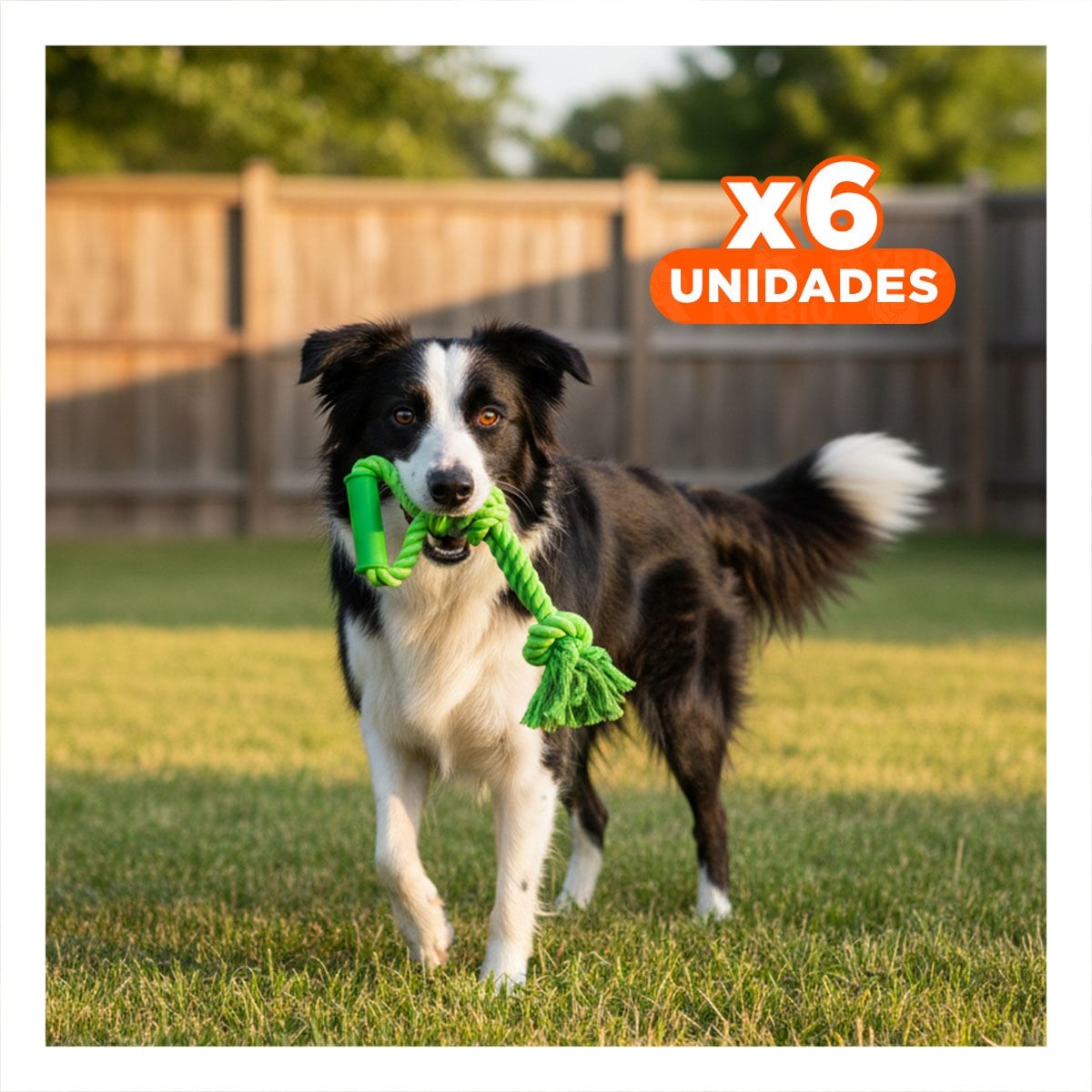 PACK6 CUERDA FUNCIONAL PARA PERRO CON AGARRADERA EN COLOR VERDE LIMON Y+REGALO STICKER - 1